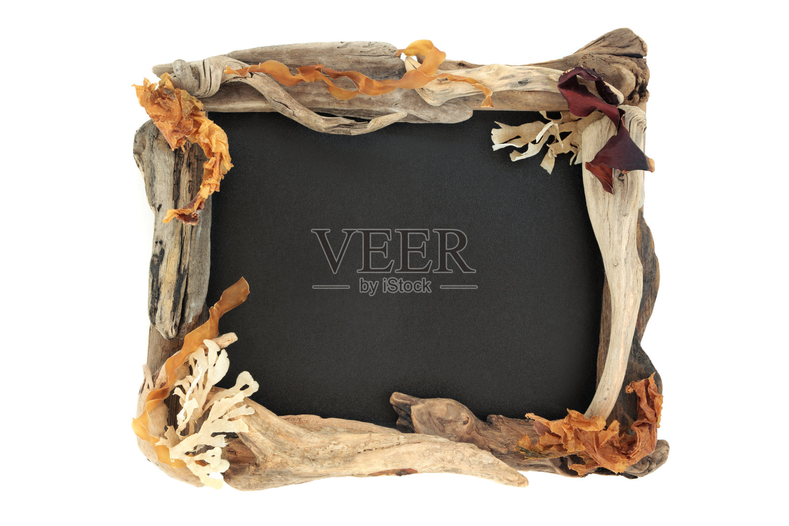 天然海藻和浮木背景边界照片摄影图片