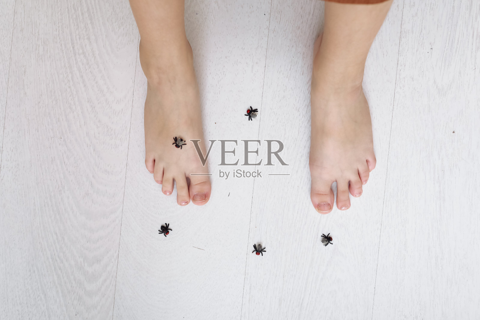 孩子的腿和小塑料蜘蛛。快乐的小孩在家里玩动物玩具。万圣节快乐的一天。照片摄影图片