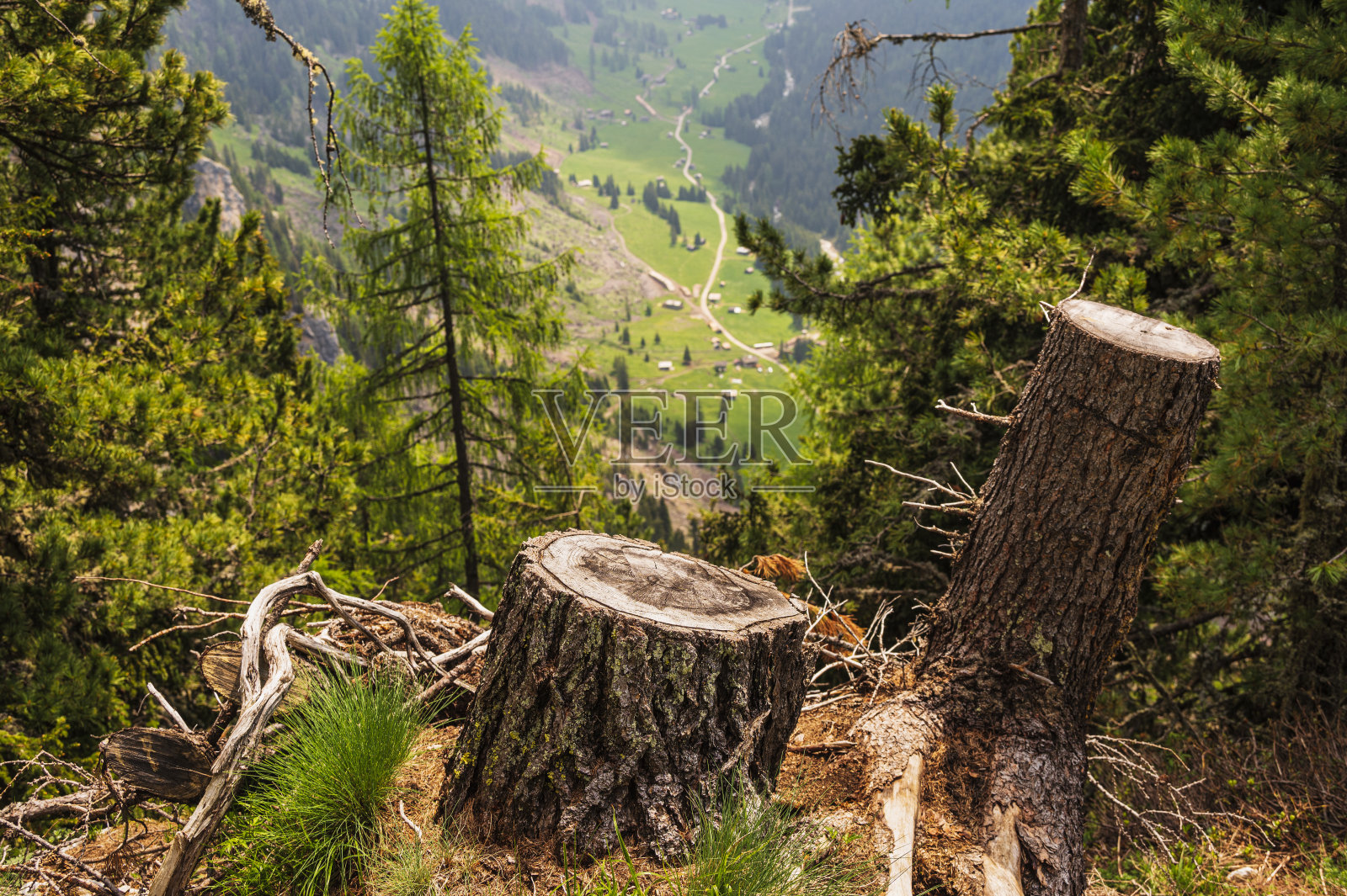 瓦尔·圣尼科洛,波扎在法萨,瓦尔在法萨,多洛米人,意大利照片摄影图片