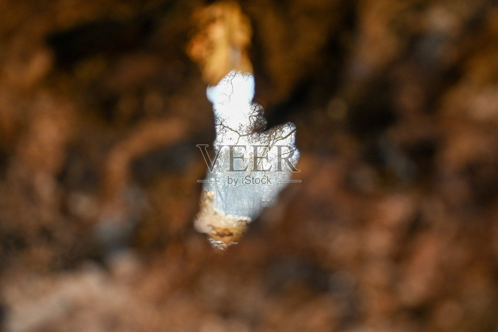 什罗普郡乡村和野生动物照片摄影图片