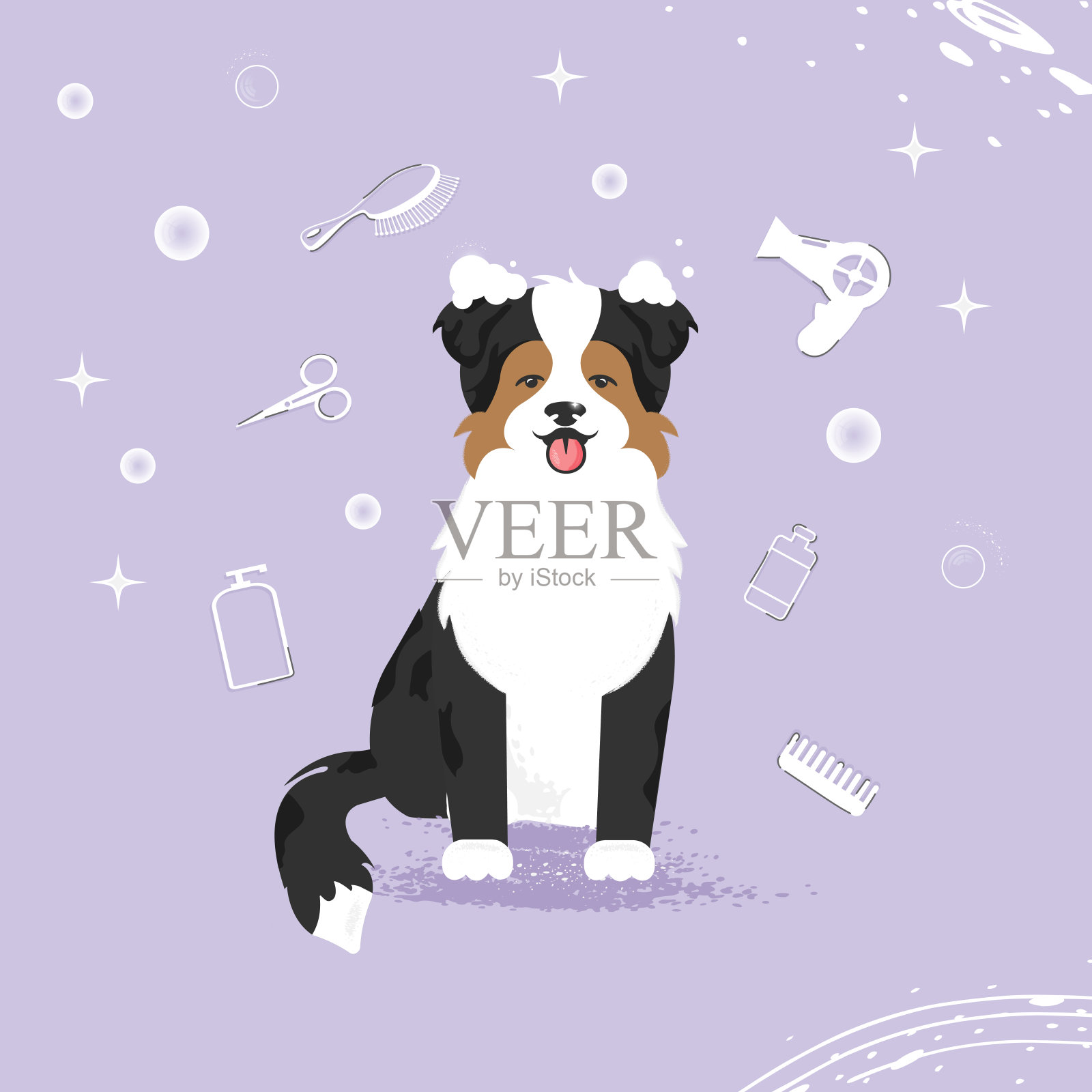 可爱的狗与泡泡卡哇伊,平坦的矢量风格。为内容,标签,横幅,图形和贺卡的宠物修饰的插图。澳洲的。澳大利亚牧羊犬。边境牧羊犬。插画图片素材