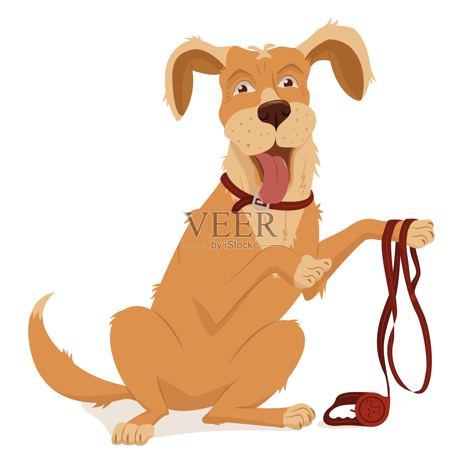 宠物、犬种金毛寻回犬。一个项圈,一条带卷尺的皮带,用来走路。矢量插图,卡通孤立在白色设计元素图片