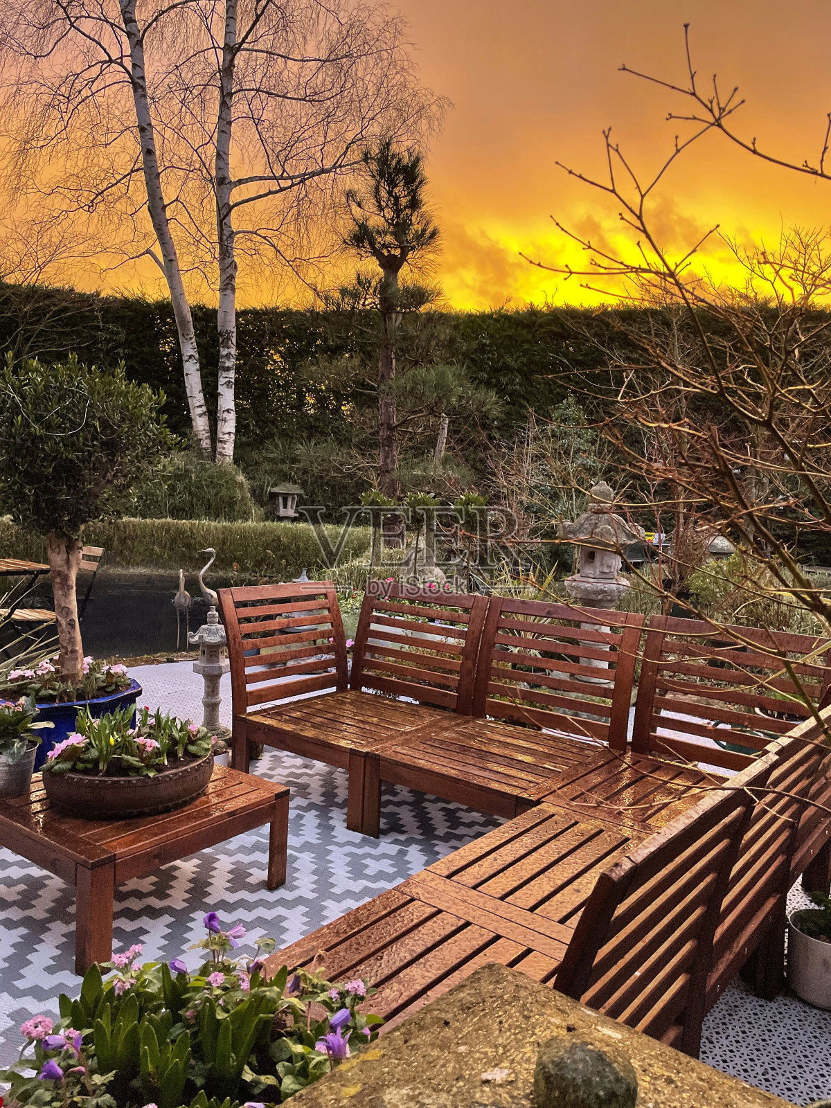 户外休息区在日出时的特写图像,硬木座椅围绕着木制的桌面,花卉植物中心,盆景树,日本枫树,景观东方设计花园,橙色和粉红色的天空,重点在前景照片摄影图片