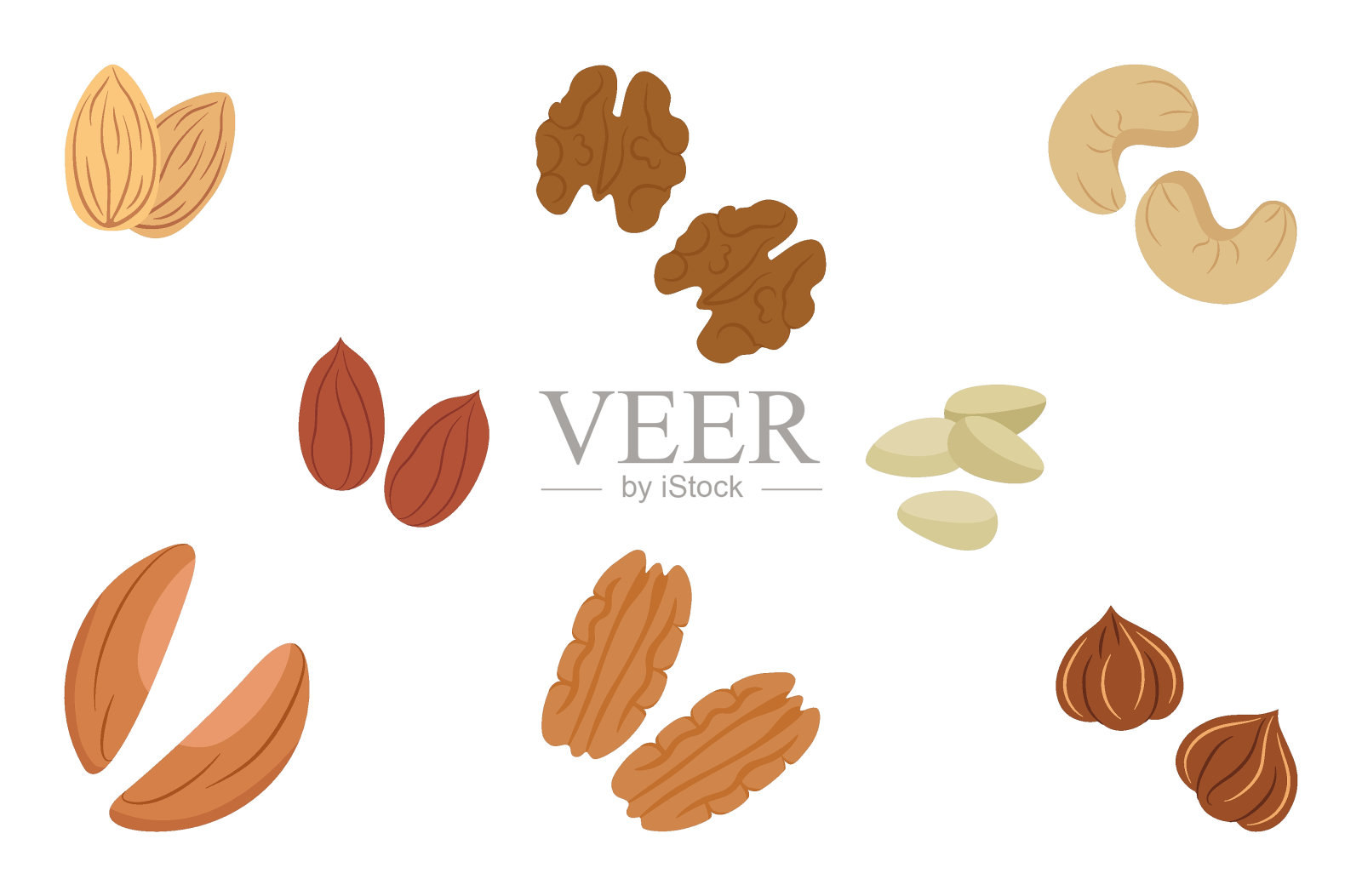 坚果是一种简单风格的不同类型的集合。矢量插图孤立在白色背景为网站设计的产品,应用程序,印刷插画图片素材