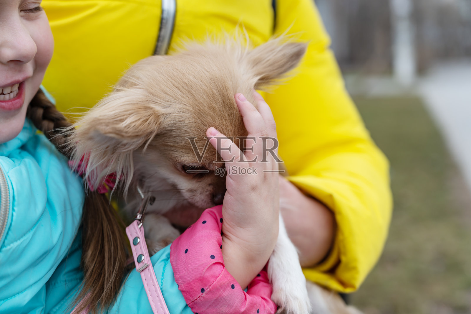 外面是抱着学龄前女儿和宠物的母亲们。一个五岁的小女孩,一个中年妇女和一只吉娃娃狗。家庭。特写镜头。照片摄影图片