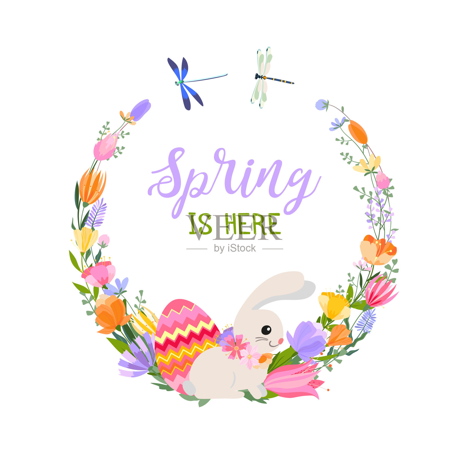 复活节春天贺卡。花环上有春天的花朵和香草,还有明亮的复活节彩蛋,可爱的兔子和蜻蜓。铭文春天来了。插画图片素材
