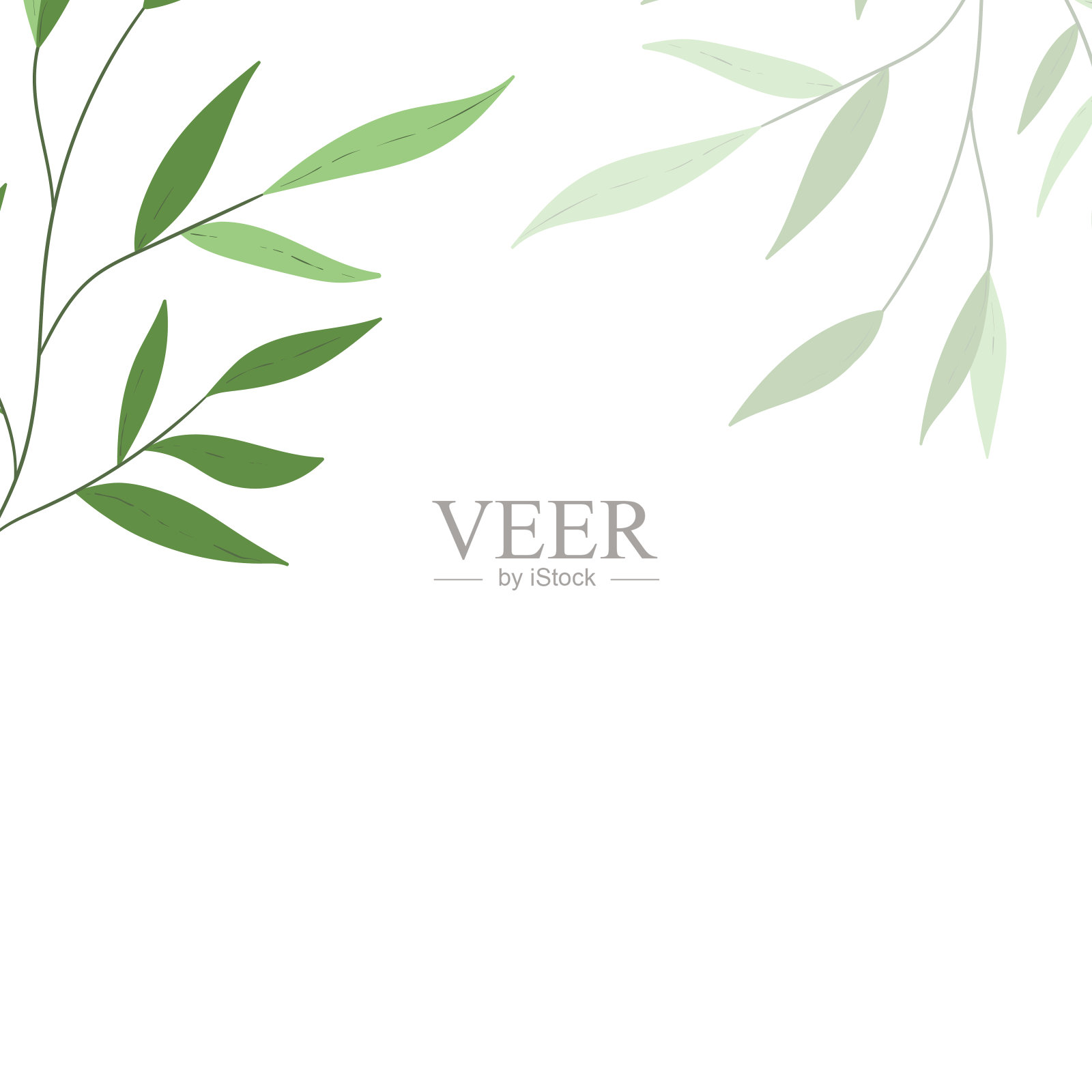 花网横幅与绘制的颜色异国情调的叶子。自然概念设计。现代花架与夏季树枝。矢量插图。本空间插画图片素材