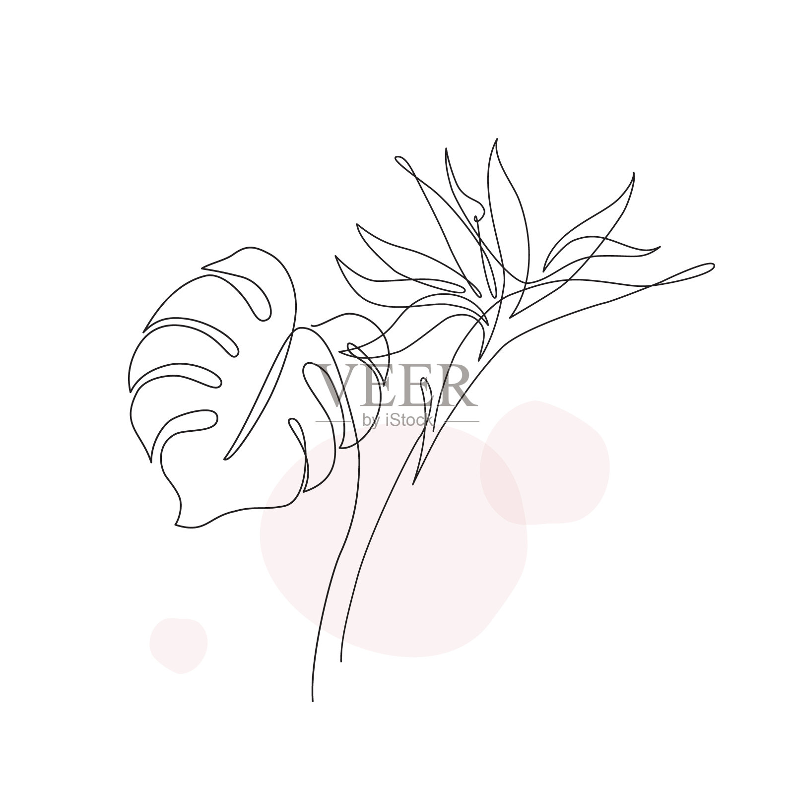 摘要线条艺术热带花卉,怪兽叶。插画图片素材