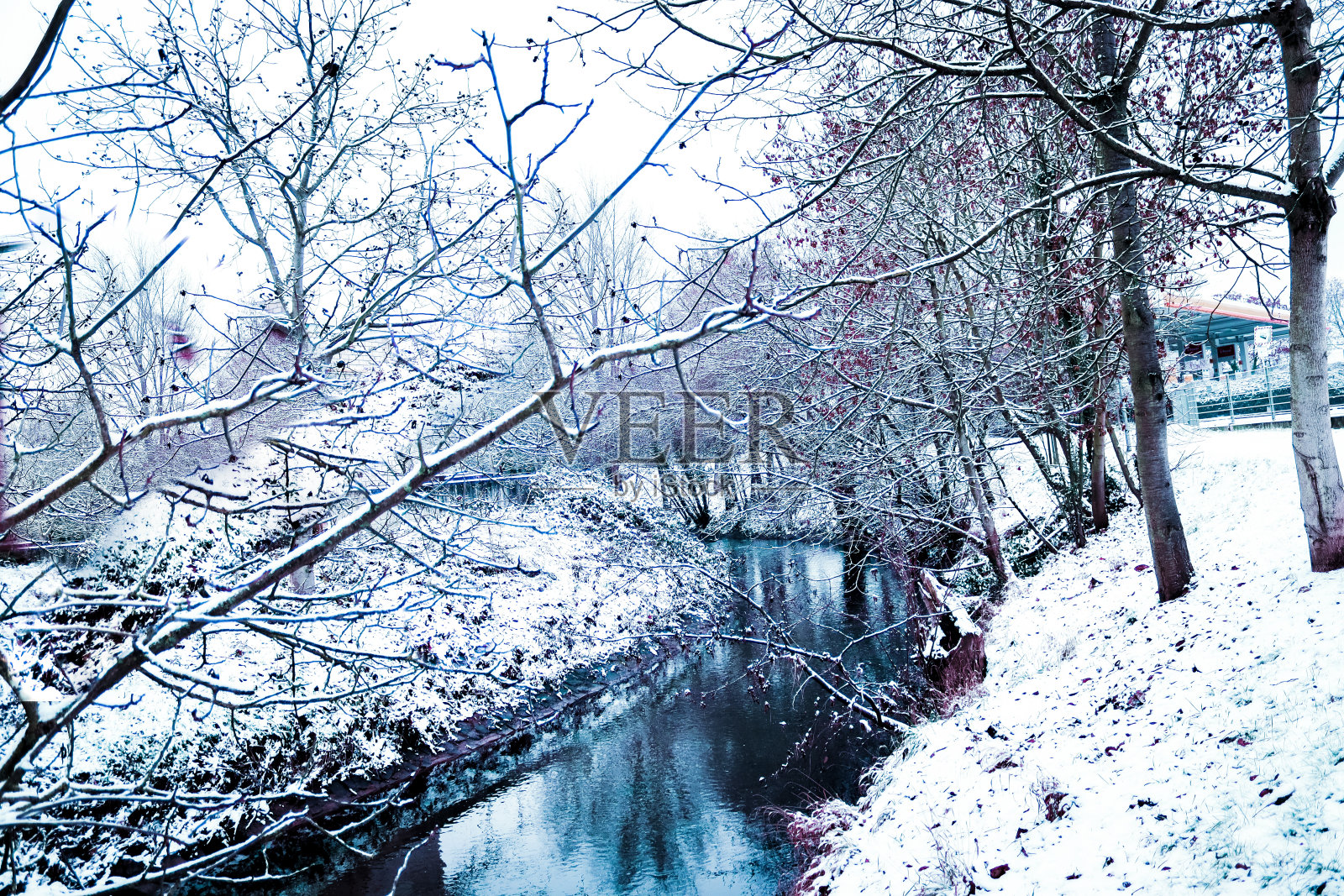 冬天照片摄影图片