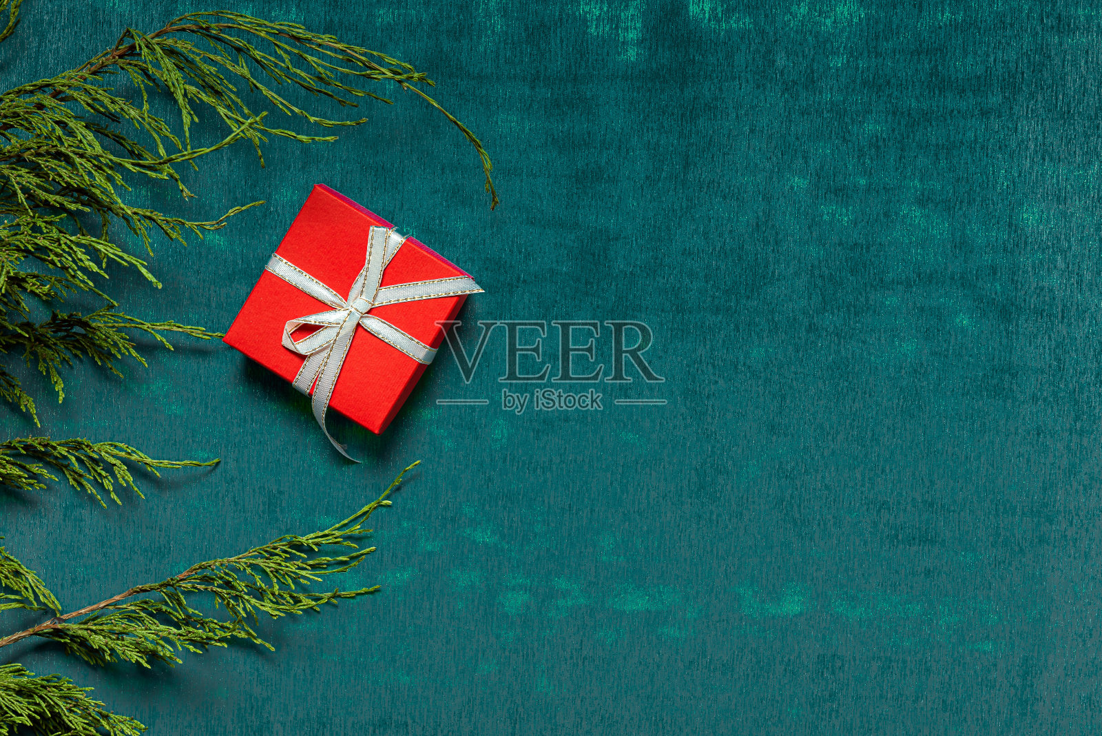 红色的礼盒,霓虹绿色背景上的针叶树枝照片摄影图片