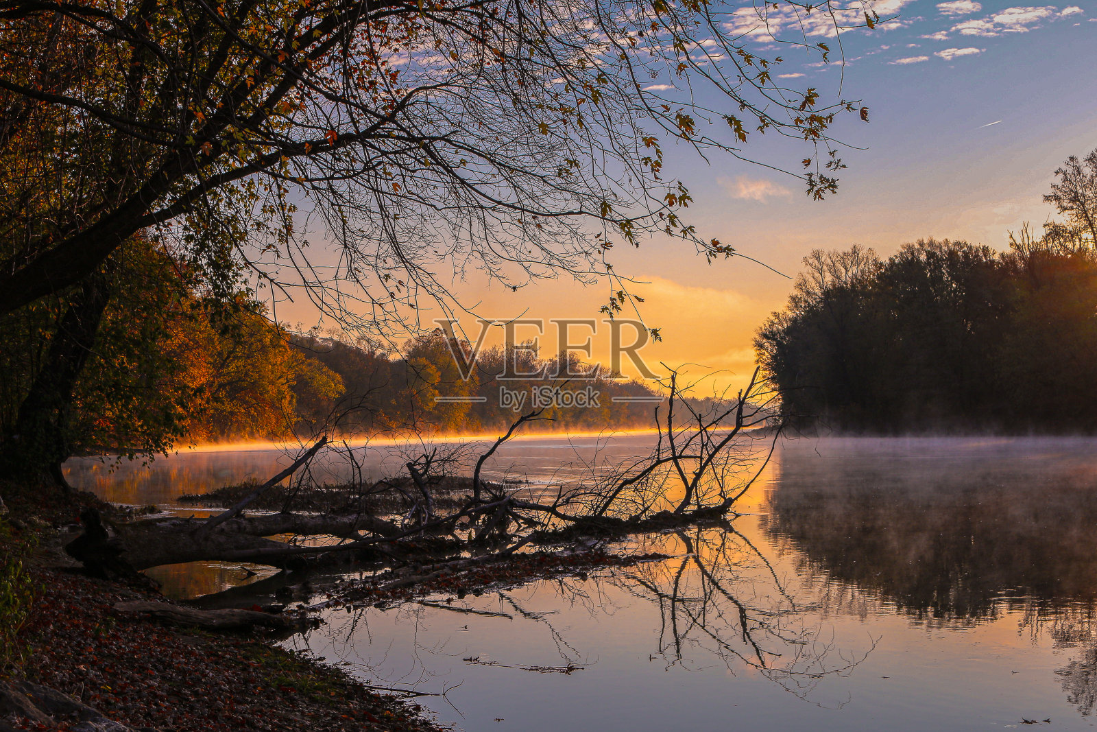 雾气蒙蒙,晨露拂晓,河水水道树木,徒步小径溪流景观倒影照片摄影图片