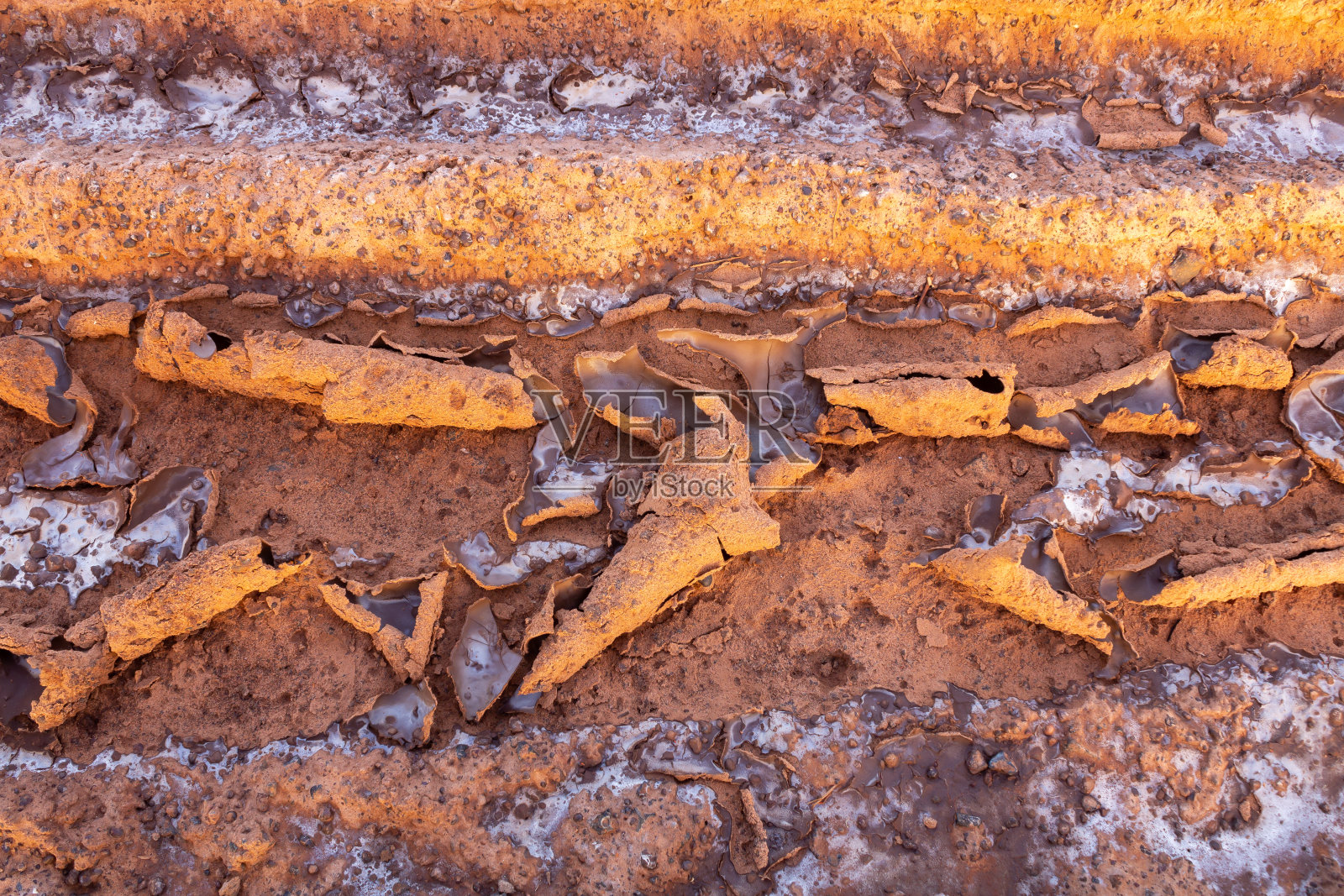 盐渍土照片摄影图片