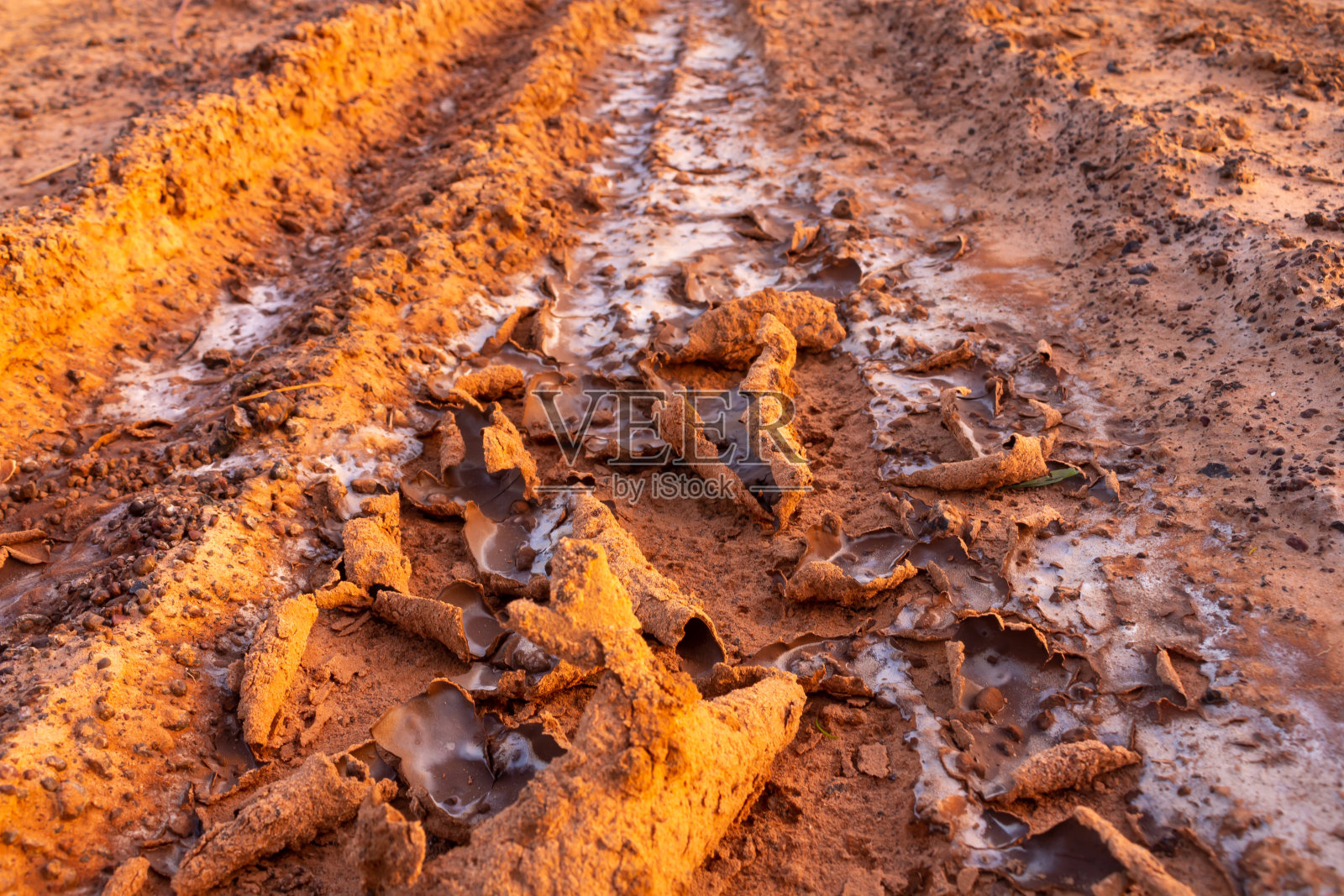 盐渍土照片摄影图片