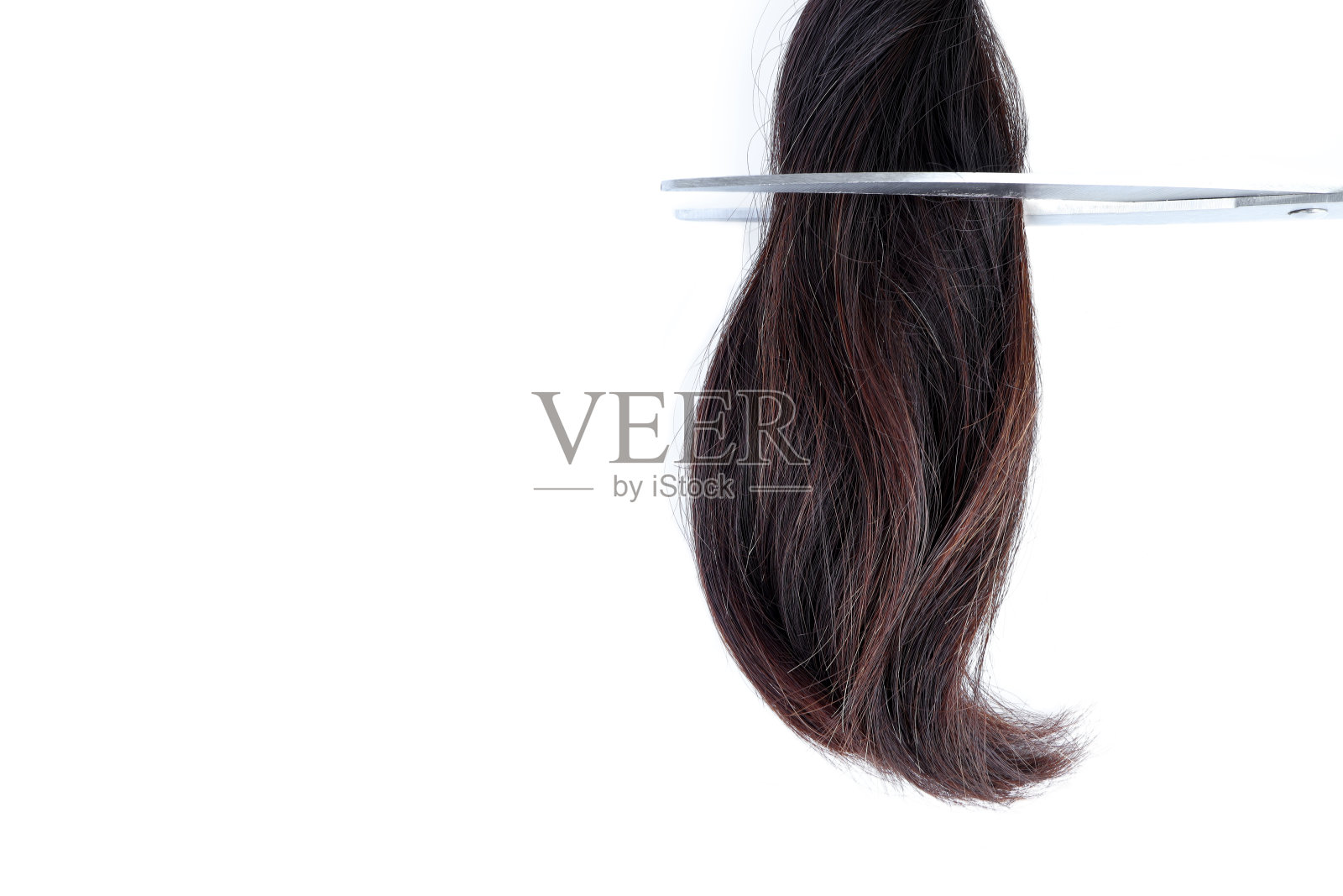 白色背景上的长棕色头发和剪刀。haircut-hairstyle设计理念照片摄影图片