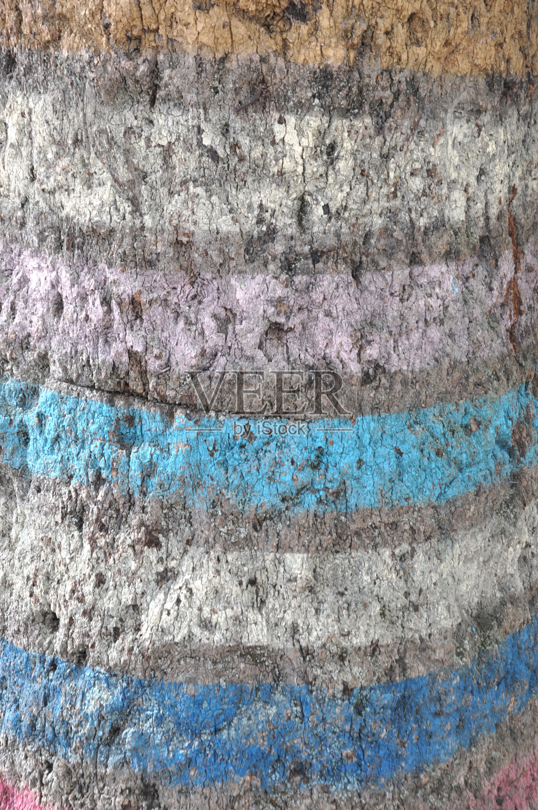 画树照片摄影图片