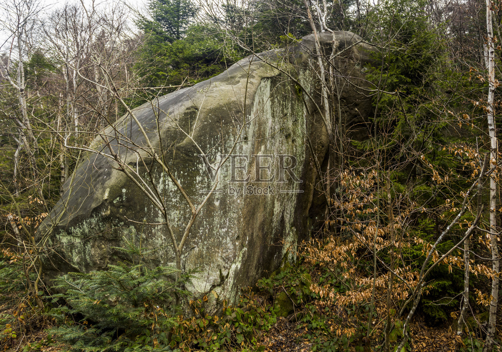 乌克兰Skole Beskids国家自然公园喀尔巴阡森林中的一块巨石照片摄影图片