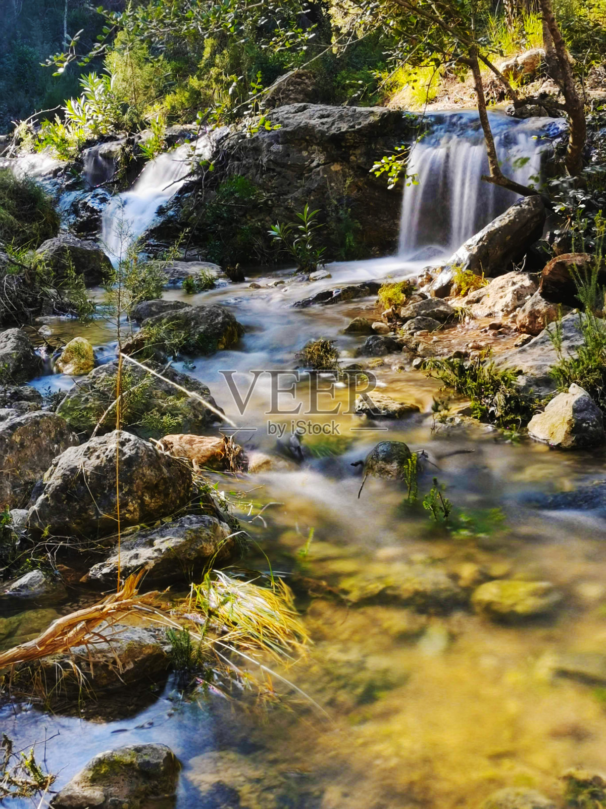 最纯洁的自然。山间溪流照片摄影图片
