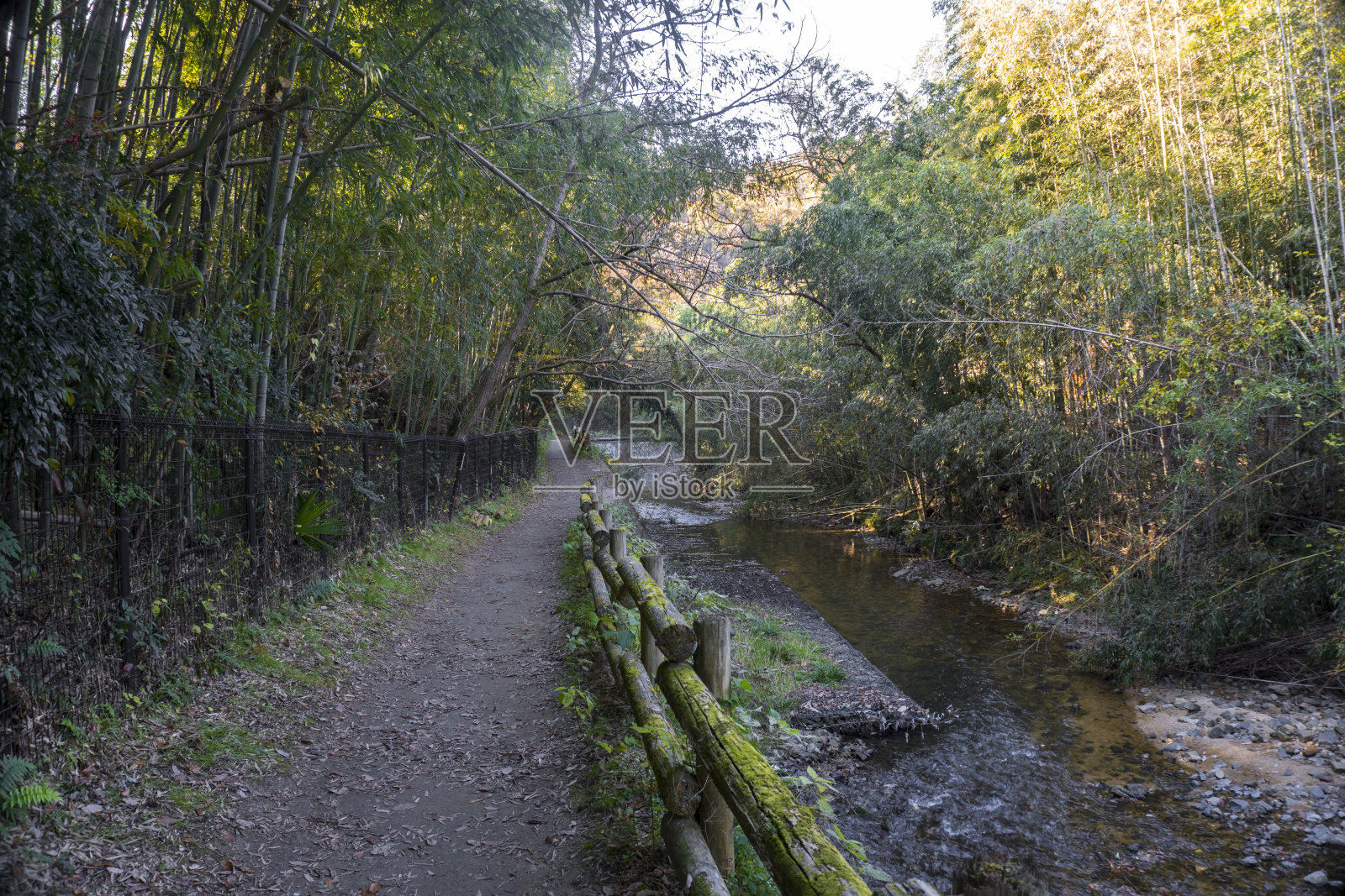 小径,小径,乡间小路,水道,日本大阪照片摄影图片