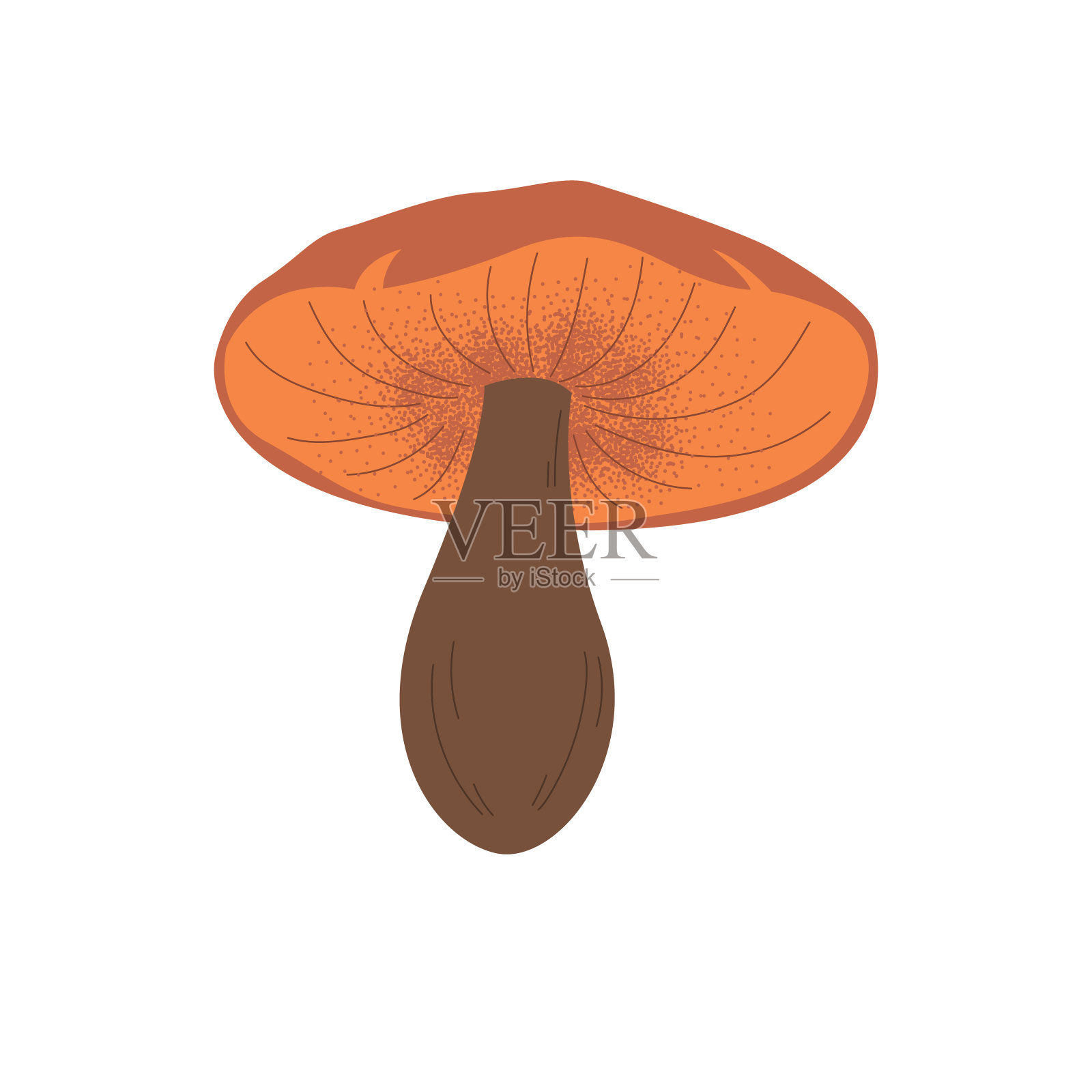 蘑菇的矢量插图。在白色孤立的背景上手绘的剪贴画。可食用的蘑菇森林。平面卡通风格。可爱的设计元素。插画图片素材