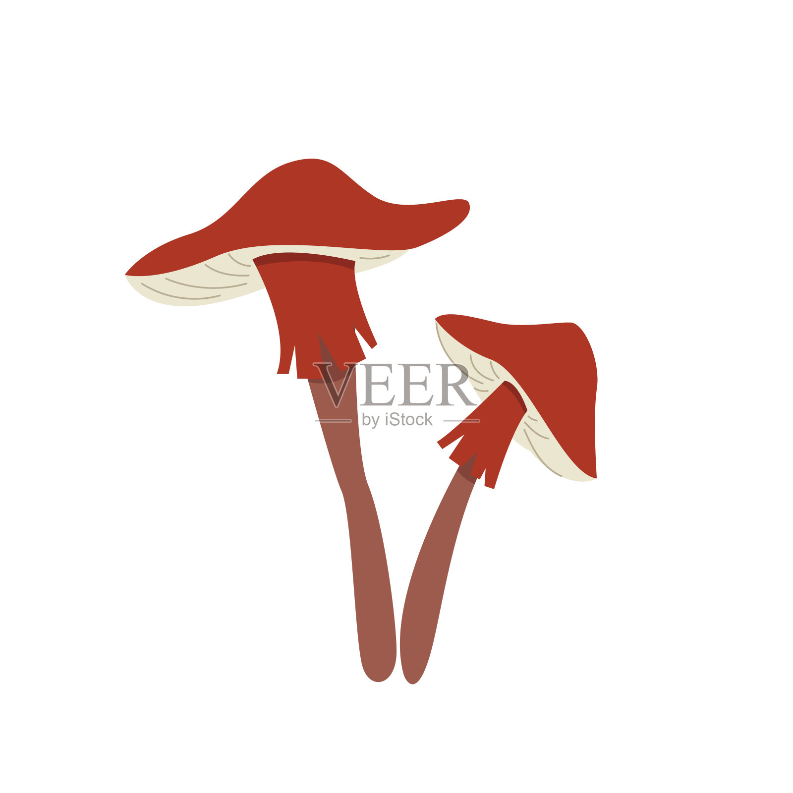 神奇的蘑菇。一种不寻常的神秘森林毒蘑菇。为您的设计手绘的元素。卡通风格。矢量剪贴画在孤立的白色背景。插画图片素材