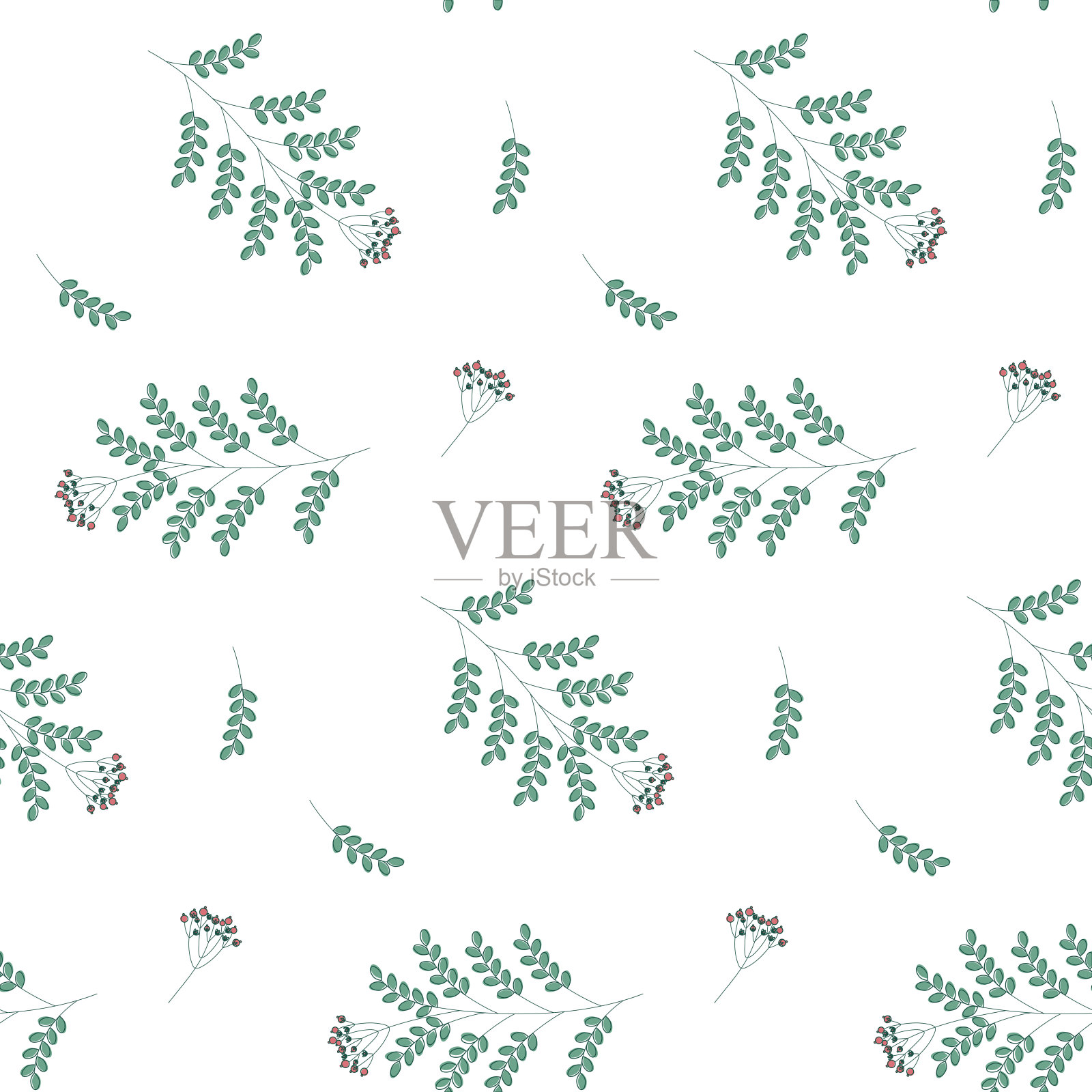 无缝图案与绿色的树枝与花和浆果在白色的背景。插画图片素材
