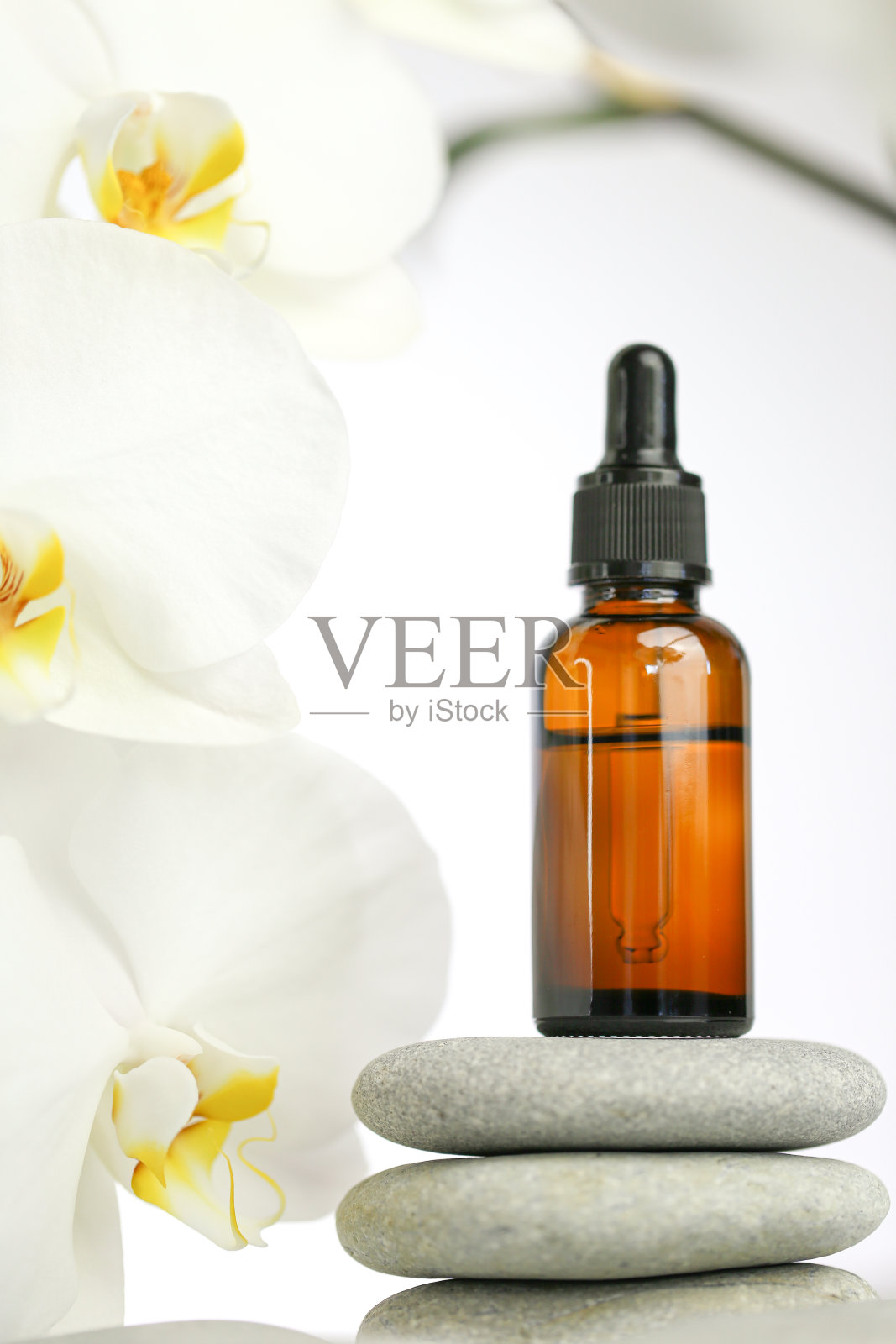 美丽和芳香疗法。按摩油和按摩石。玻璃瓶与油在石头和白色兰花在白色背景。温泉和放松。白色兰花花,按摩石和油照片摄影图片