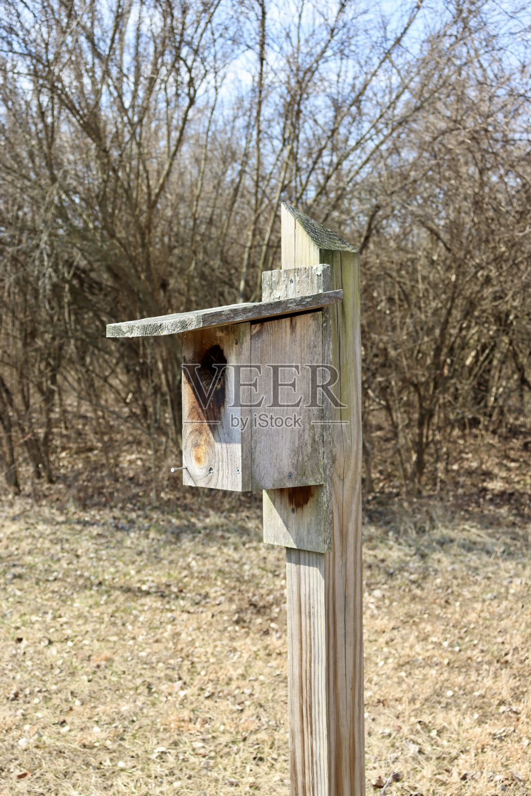 鸟舍的侧视图照片摄影图片