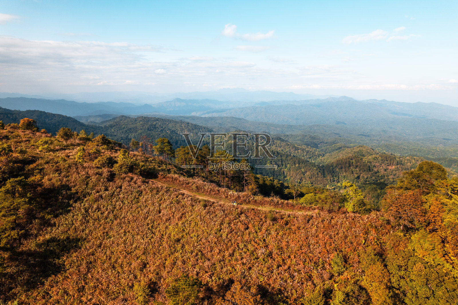 高视角的森林和山脉在夏天照片摄影图片