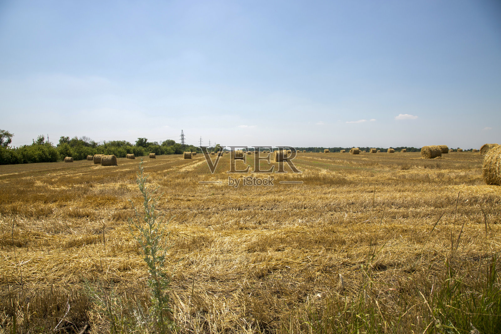 麦田收割后的乡村景观照片摄影图片
