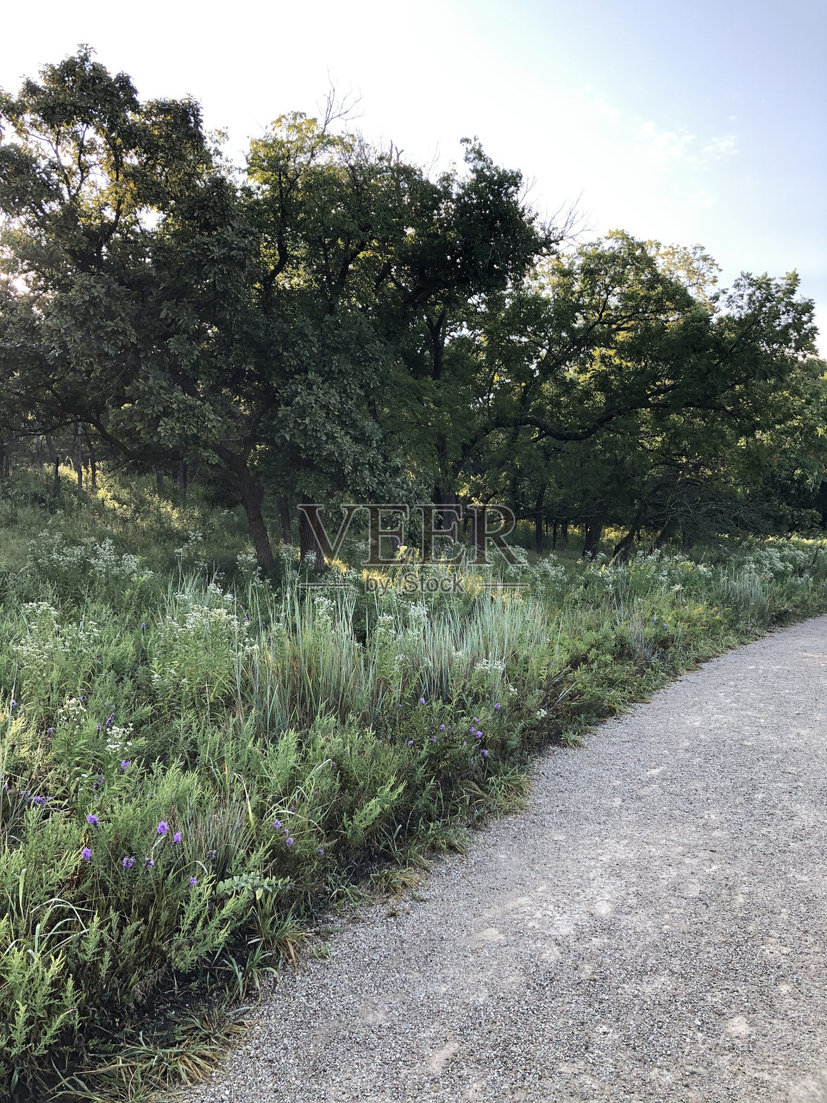 草原徒步旅行照片摄影图片