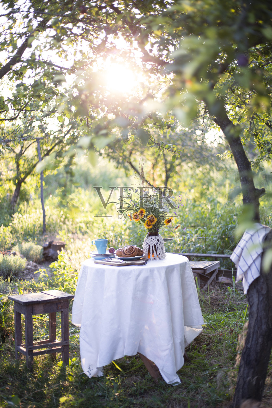 花园及茶会照片摄影图片