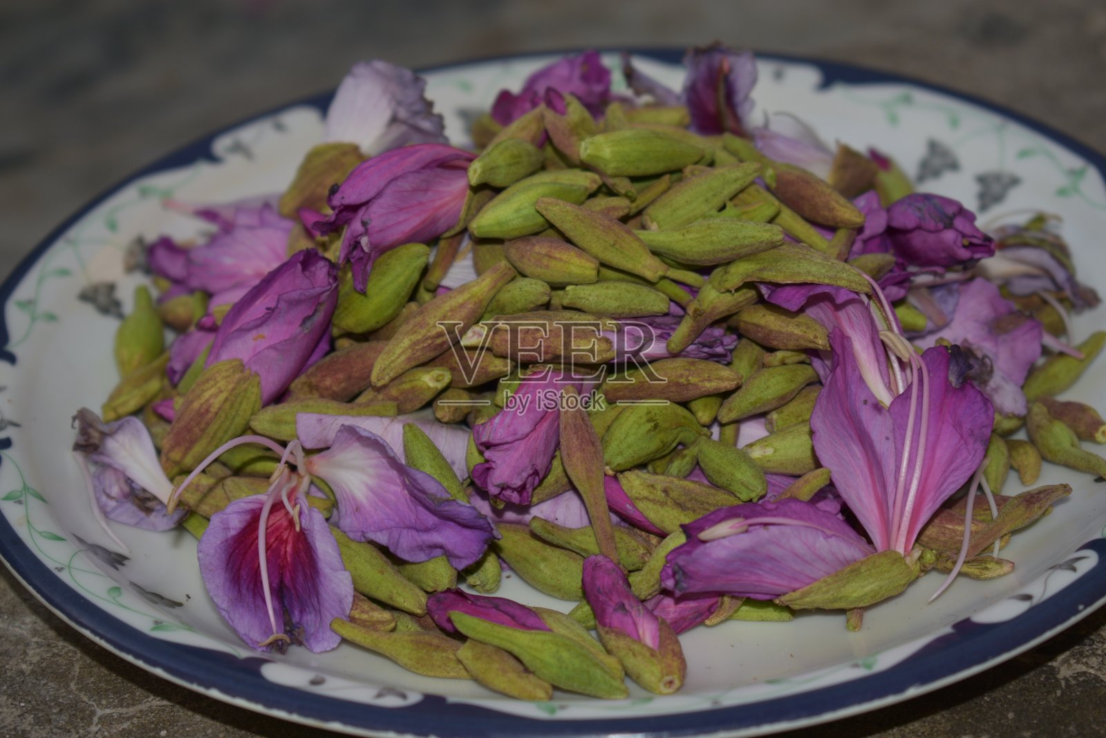 兰花照片摄影图片