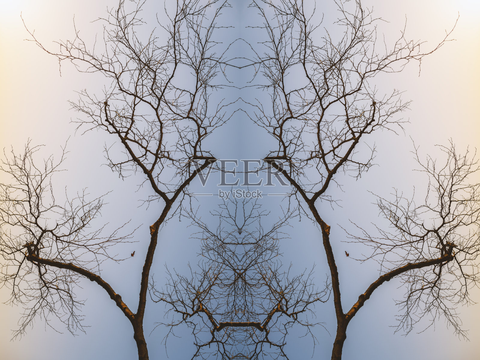 抽象的对称的背景。照片摄影图片