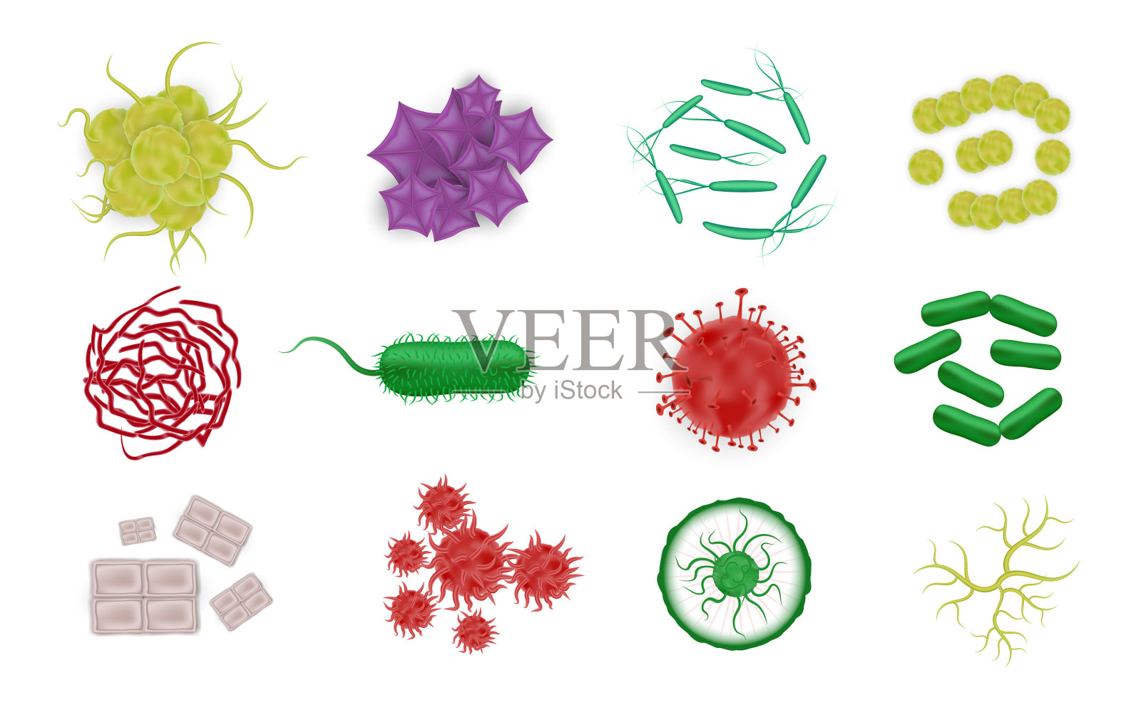 细菌形状逼真的图标插画图片素材