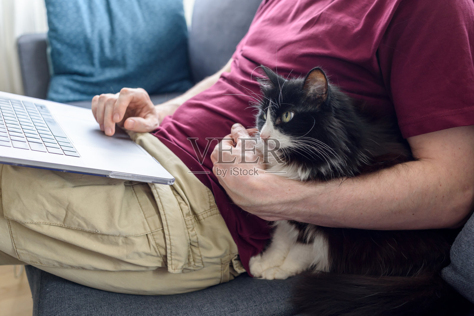 和他的猫在电脑上工作照片摄影图片