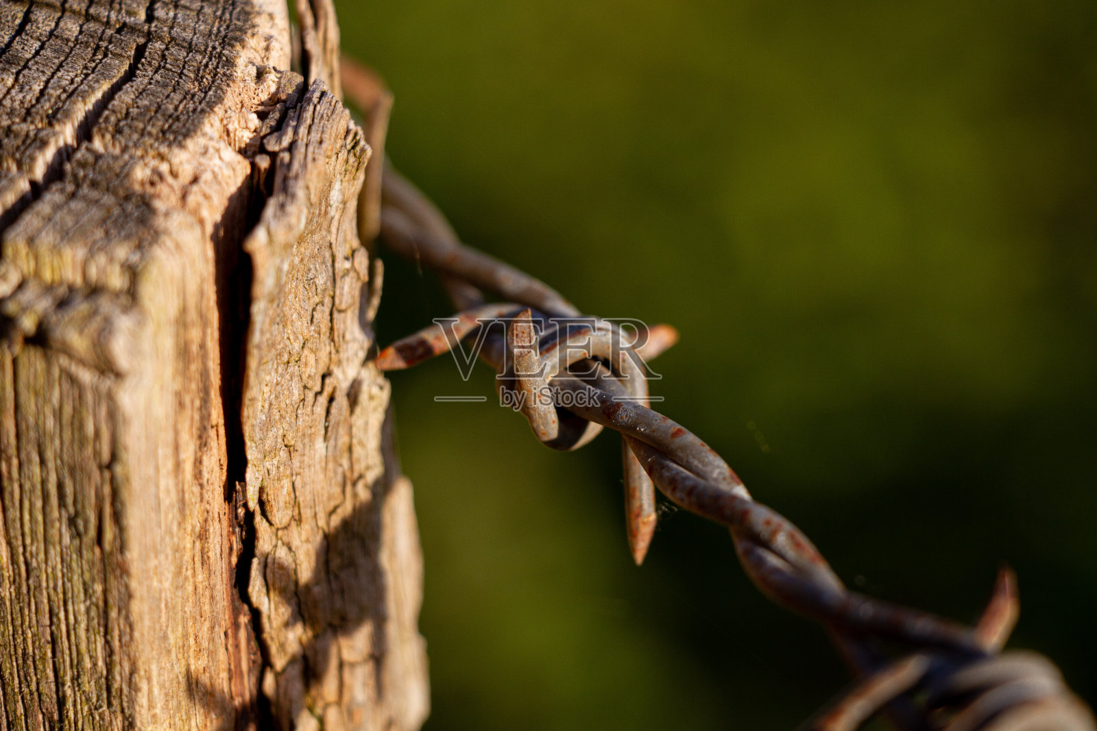 布拉贝莱照片摄影图片