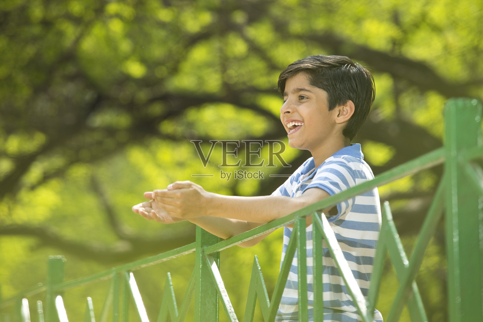 公园里快乐男孩的肖像照片摄影图片