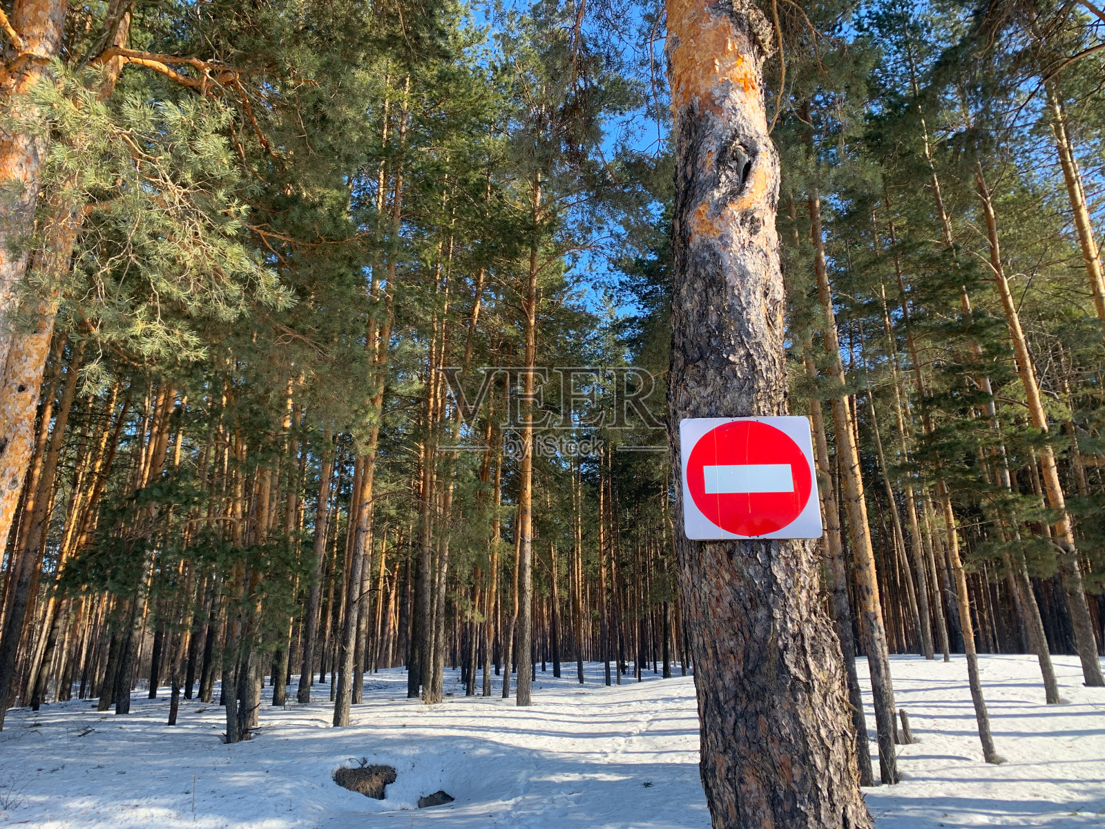 不准入内签署照片摄影图片