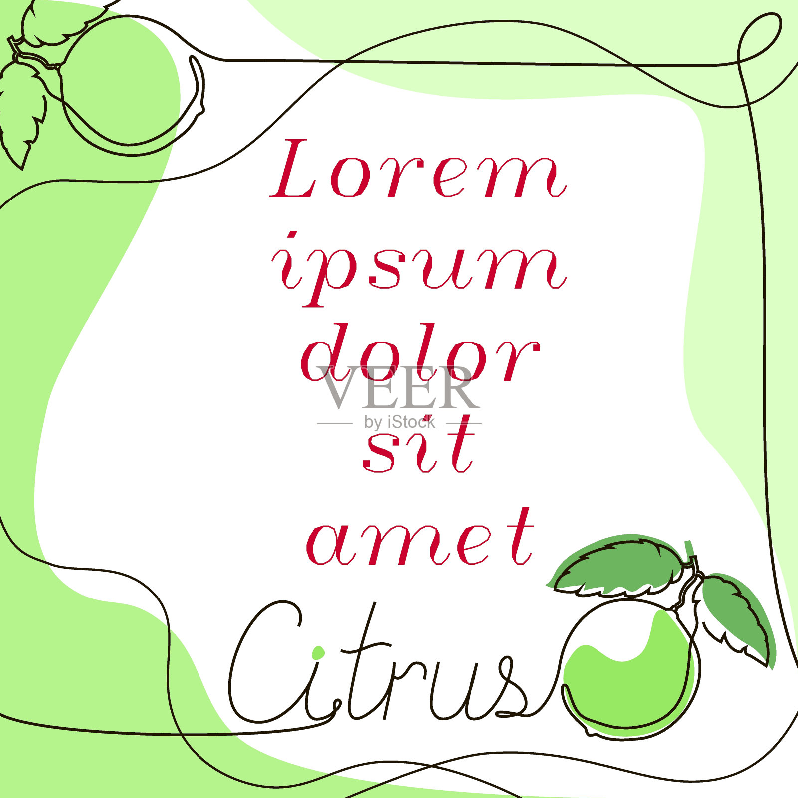 柑橘酸橙,横幅设计模板。画的题词——柑橘。矢量手绘石灰。涂鸦风格的旗帜。有一个地方可以放你的课本。股票矢量插图。插画图片素材