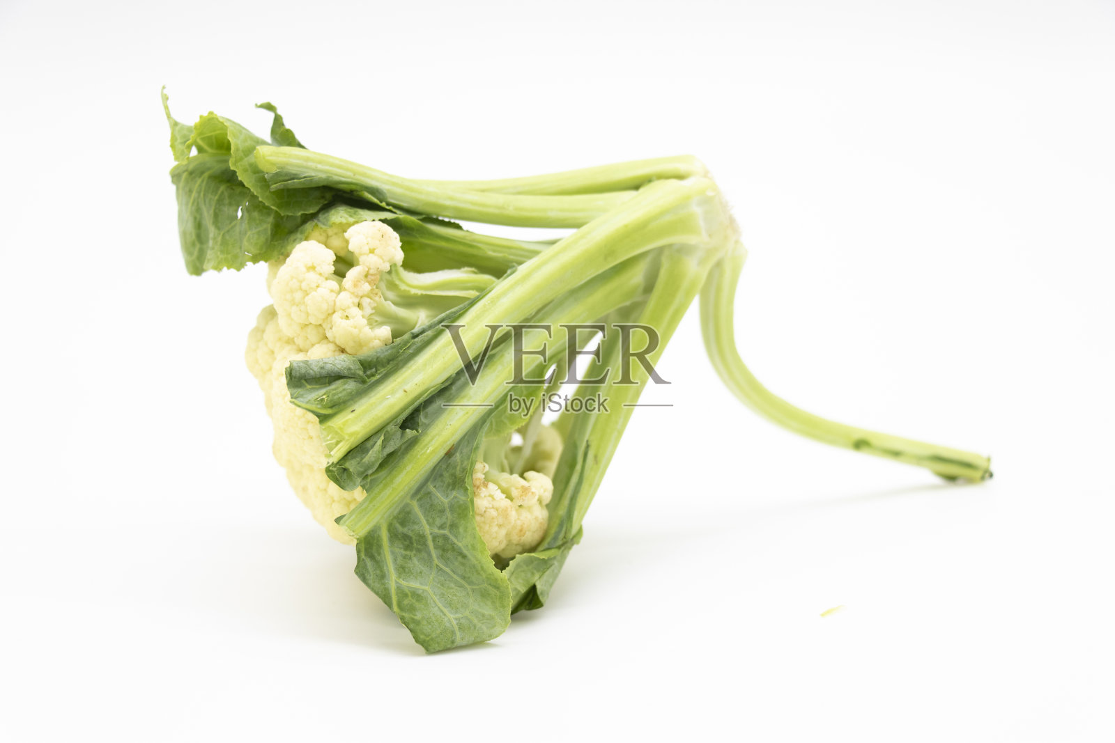 花椰菜的叶子孤立在白色背景上,照片摄影图片