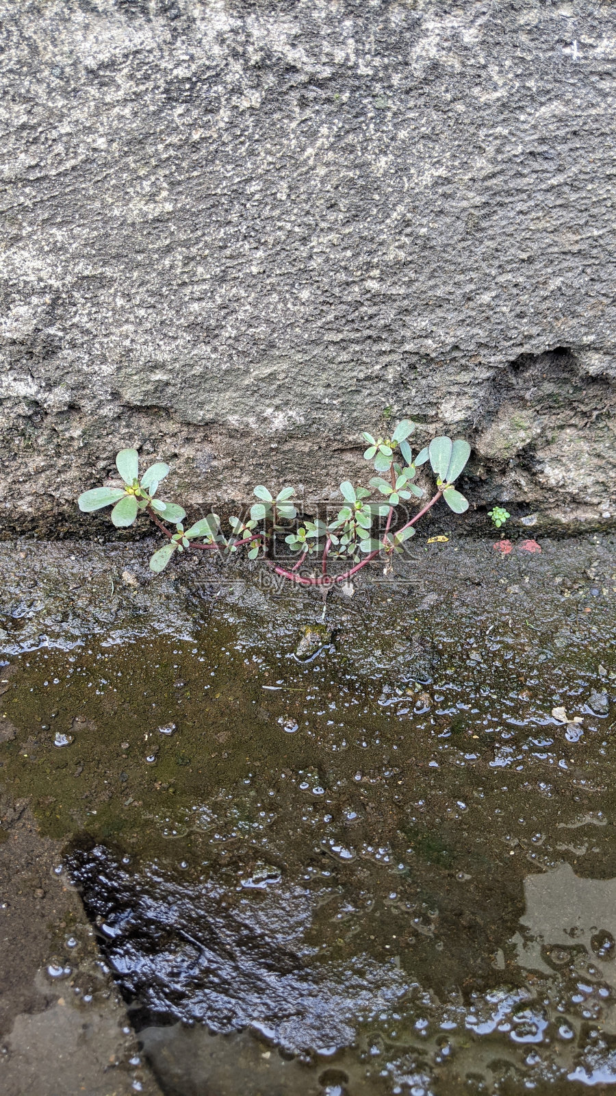 的照片摄影图片