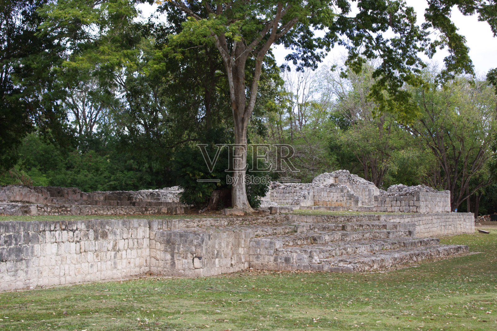 坎佩切遗址,金字塔Edzná是一个玛雅考古遗址。2021年12月28日,墨西哥坎佩切照片摄影图片