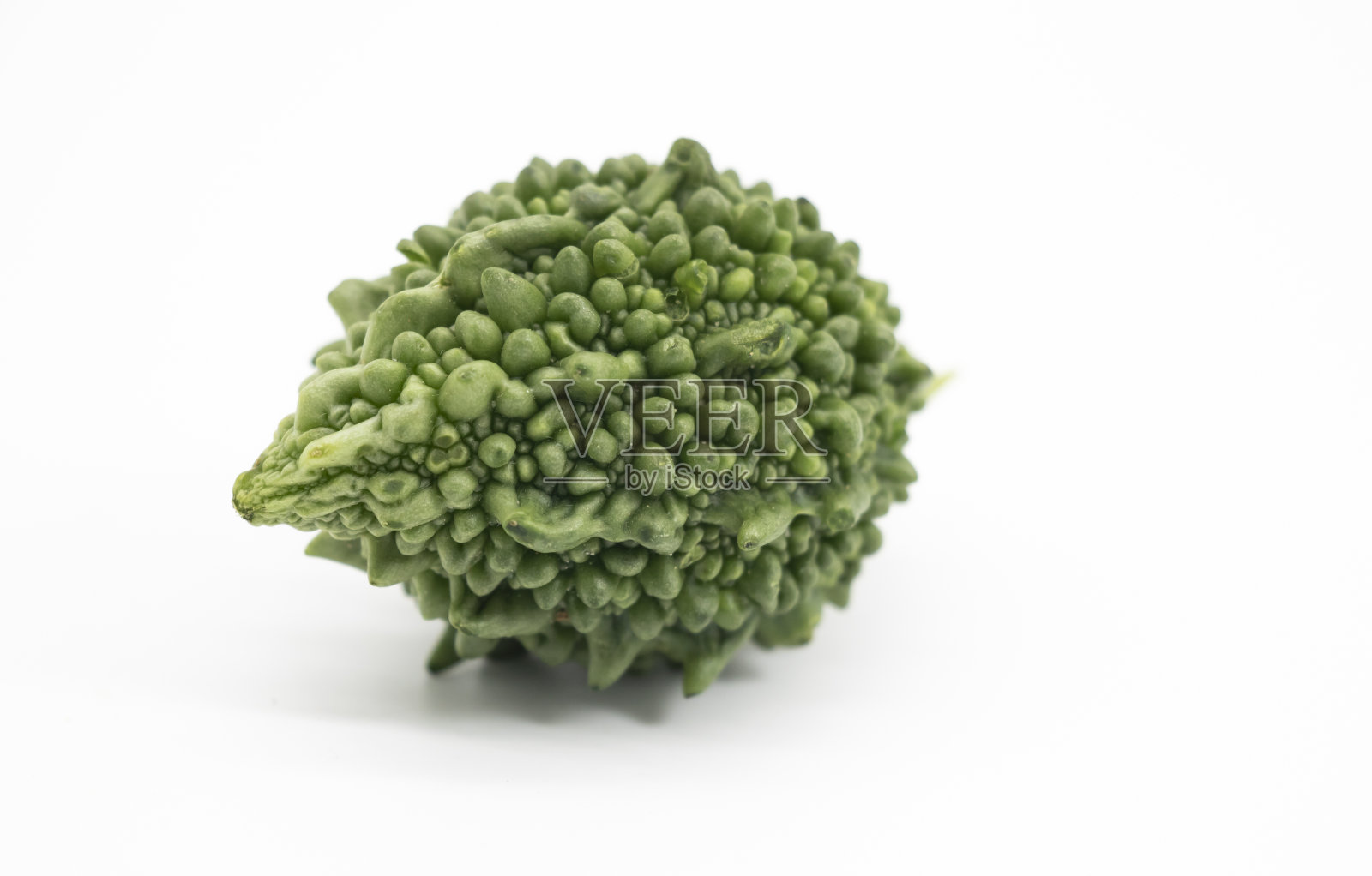 单个苦瓜孤立在白色背景上照片摄影图片