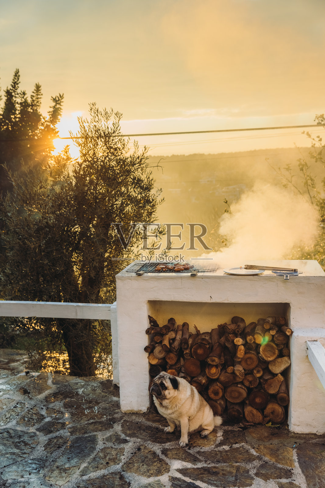 可爱的狗狗在美丽的露台上欣赏日落照片摄影图片