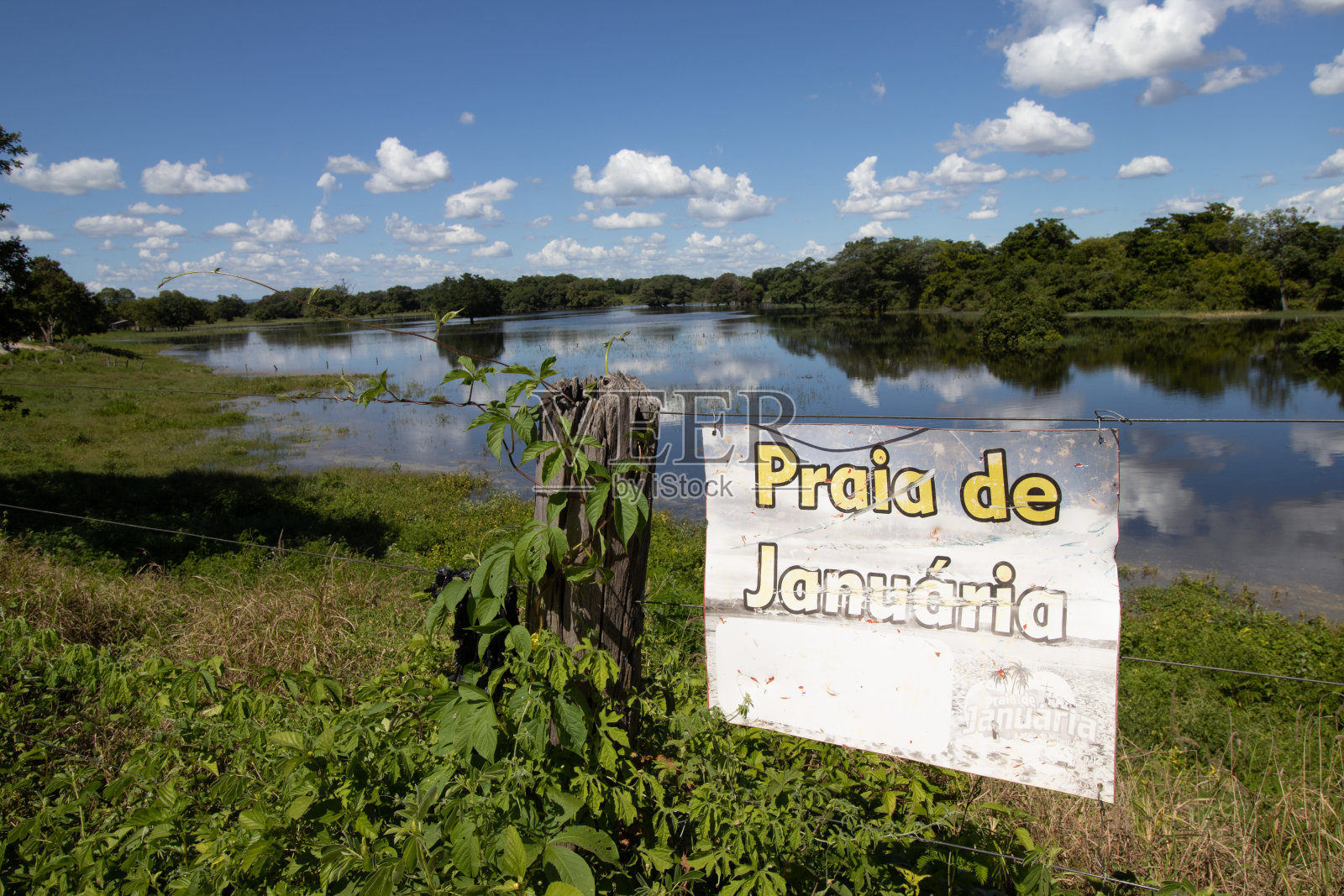 Januária市海滩的景色照片摄影图片