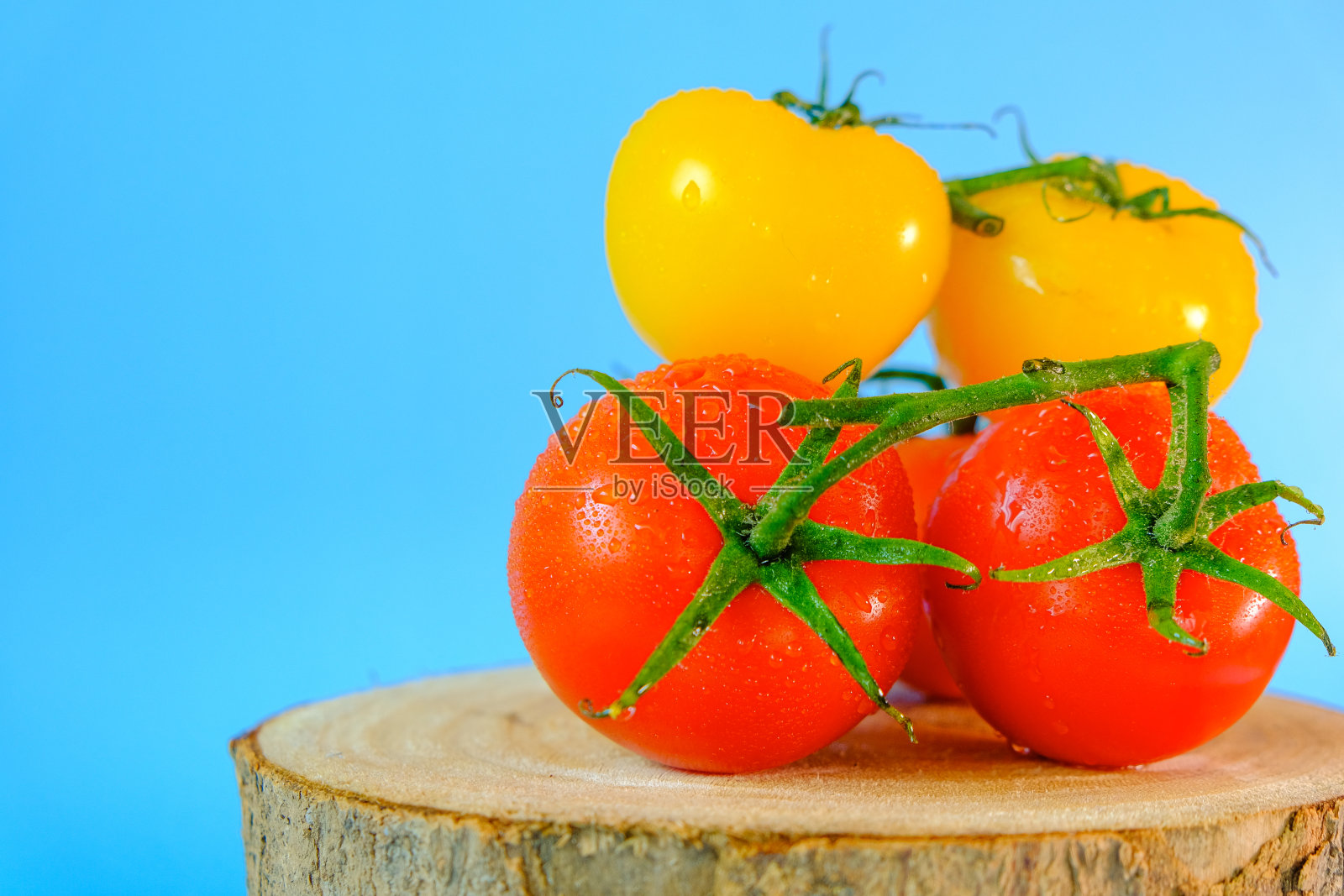 色彩斑斓的西红柿。新鲜的西红柿滴在水滴里。西红柿黄色,红色的设置在一个木制锯子切割在蓝色的背景。种植新鲜的有机番茄照片摄影图片