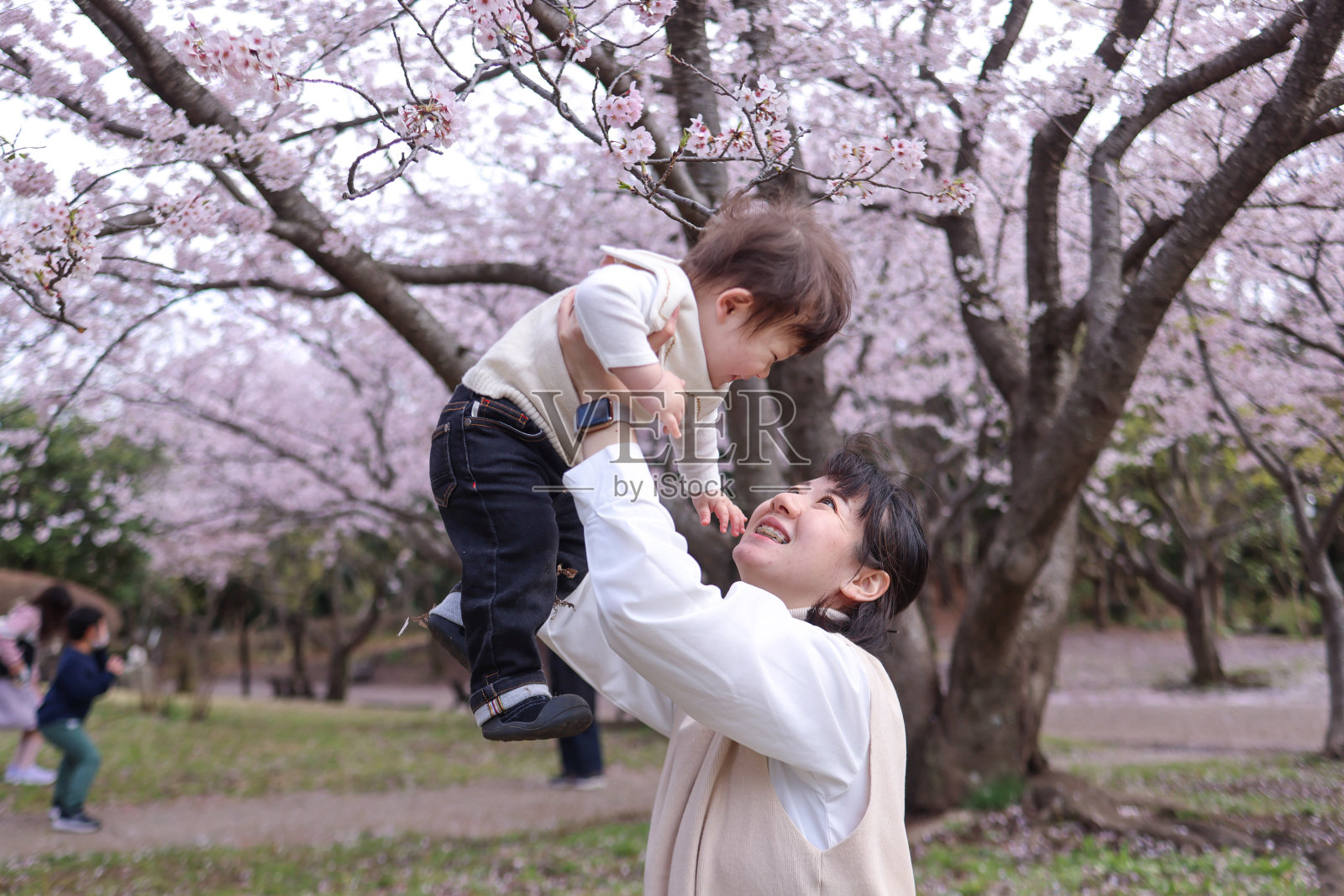 年轻的母子在樱花下玩耍照片摄影图片