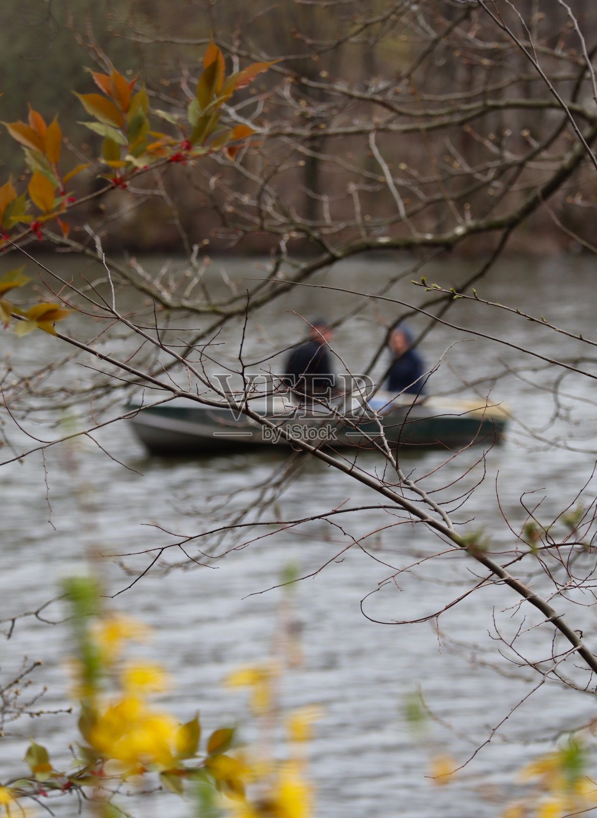 中央公园的春天照片摄影图片