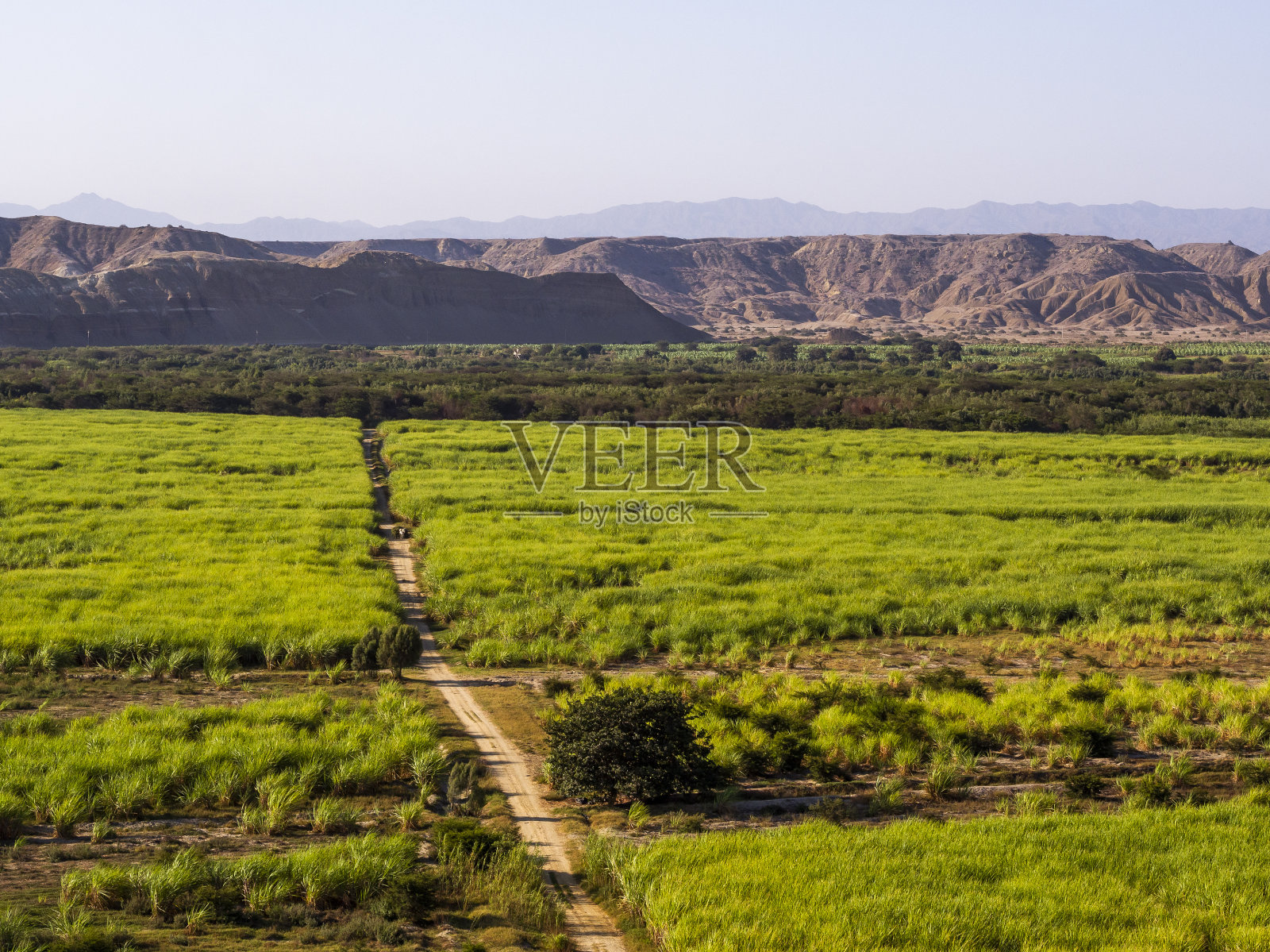 皮乌拉秘鲁照片摄影图片
