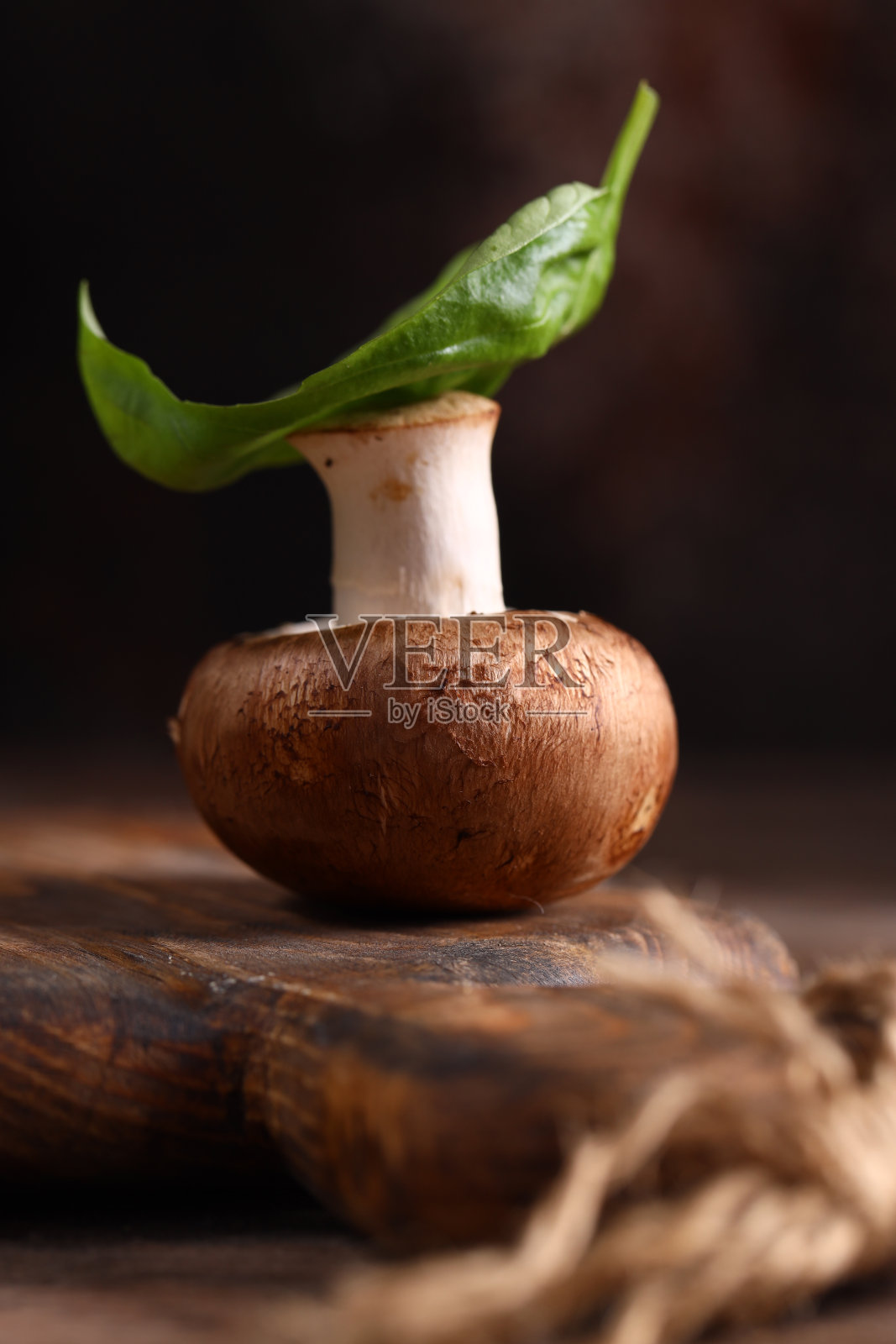 波多贝罗蘑菇照片摄影图片